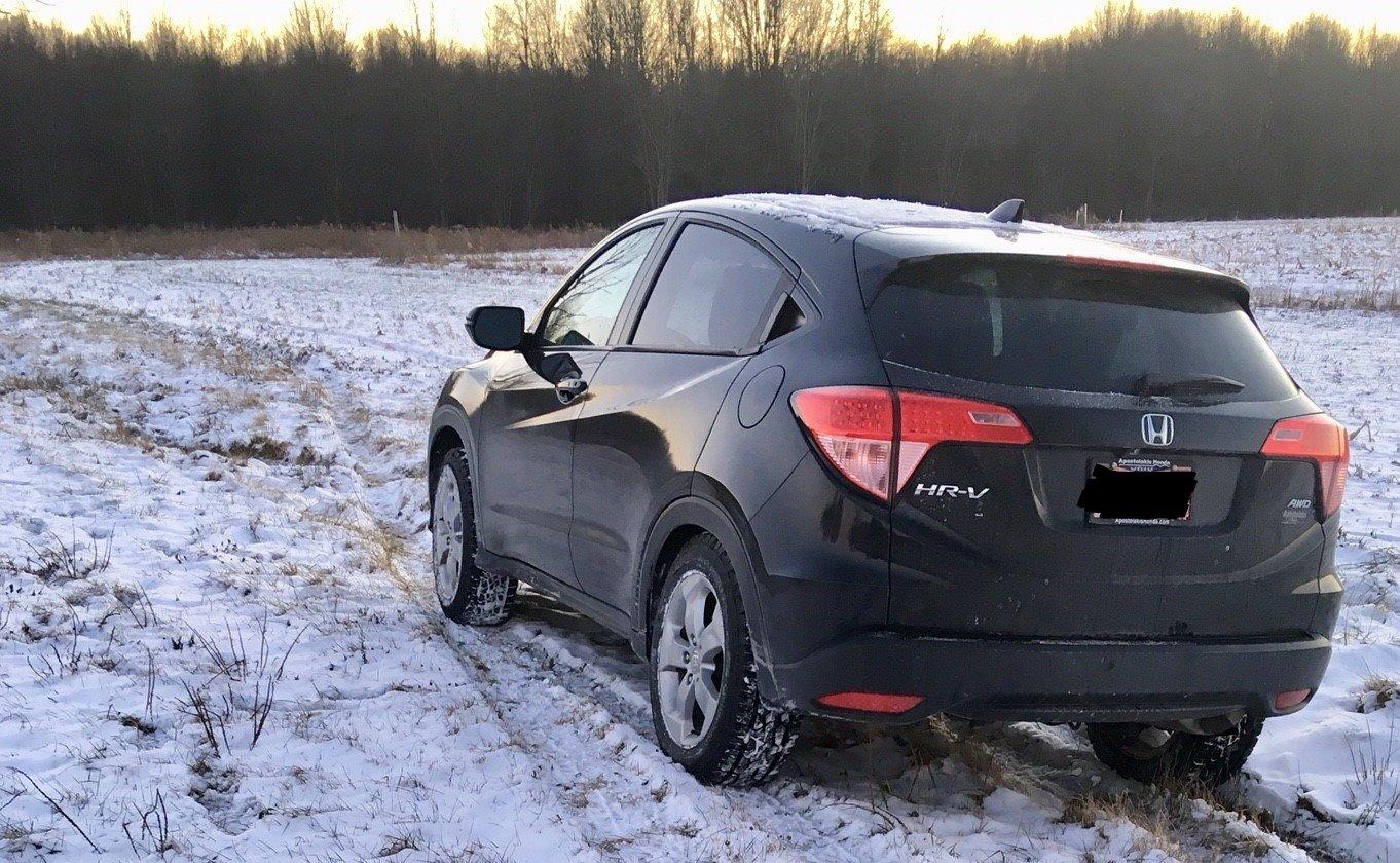 CONTINENTAL TerrainContact A/T all_ Season Radial Tire-265/75R16 116T customer photo 2