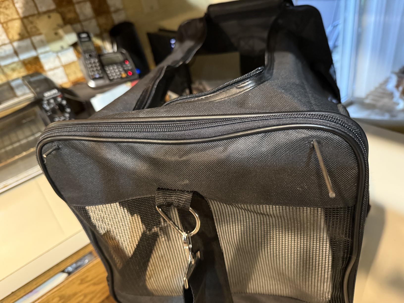 Amazon Basics Airline Approved Soft-Sided Mesh Pet Travel Carrier with Shoulder Strap, Removable Washable Fleece Pad, Top Opening, Ventilation for Dog, Cat, up to 22 pounds, 19.7Lx12Wx12H in., Black customer photo 2