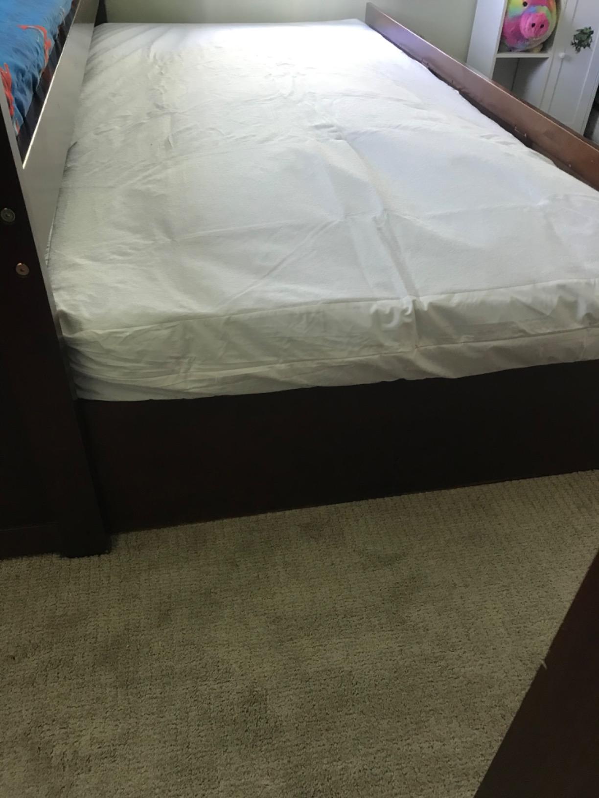 Queen (13-16 in. Deep) SureGuard Mattress Encasement - 100% Waterproof, Bed Bug Proof, Hypoallergenic - Premium Zippered Six-Sided Cover customer photo 1
