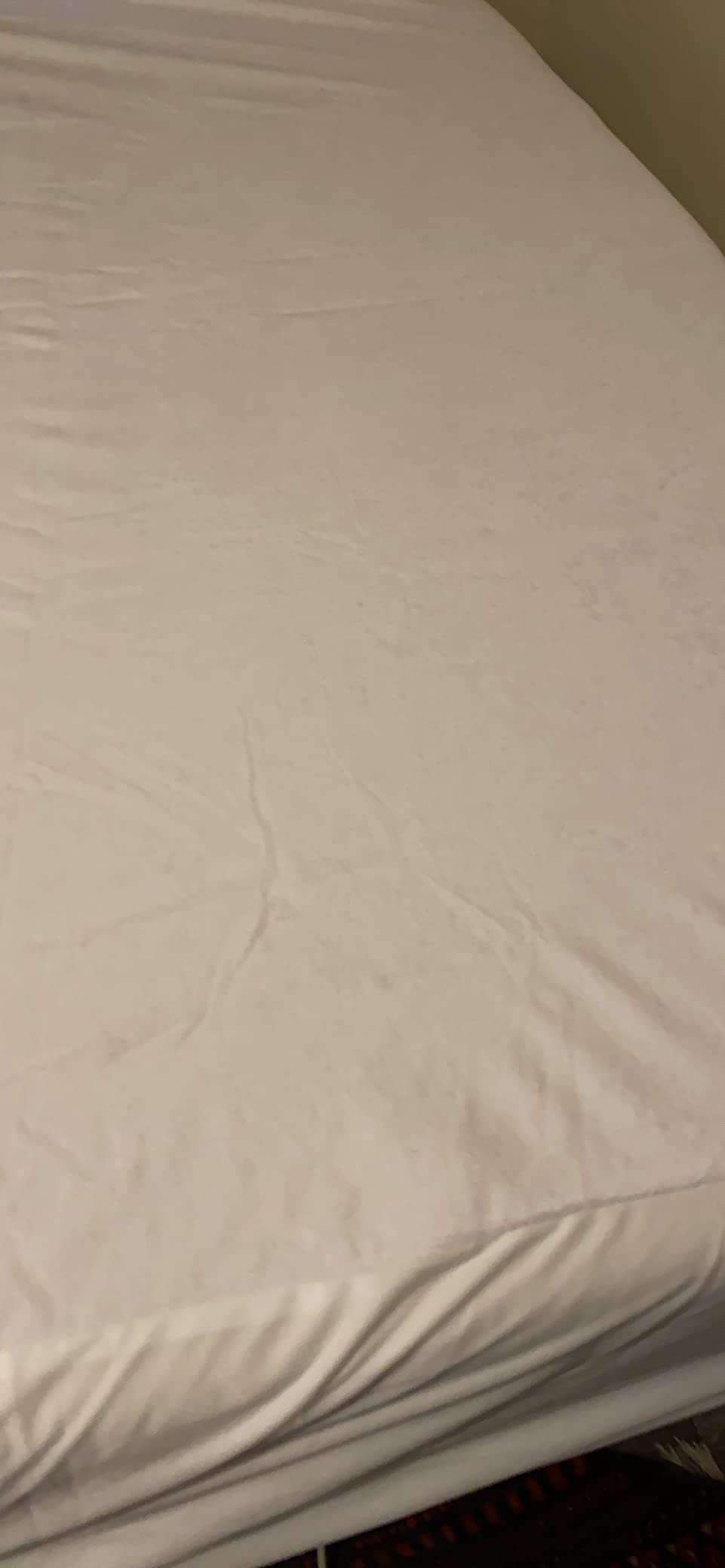Queen (13-16 in. Deep) SureGuard Mattress Encasement - 100% Waterproof, Bed Bug Proof, Hypoallergenic - Premium Zippered Six-Sided Cover customer photo 2