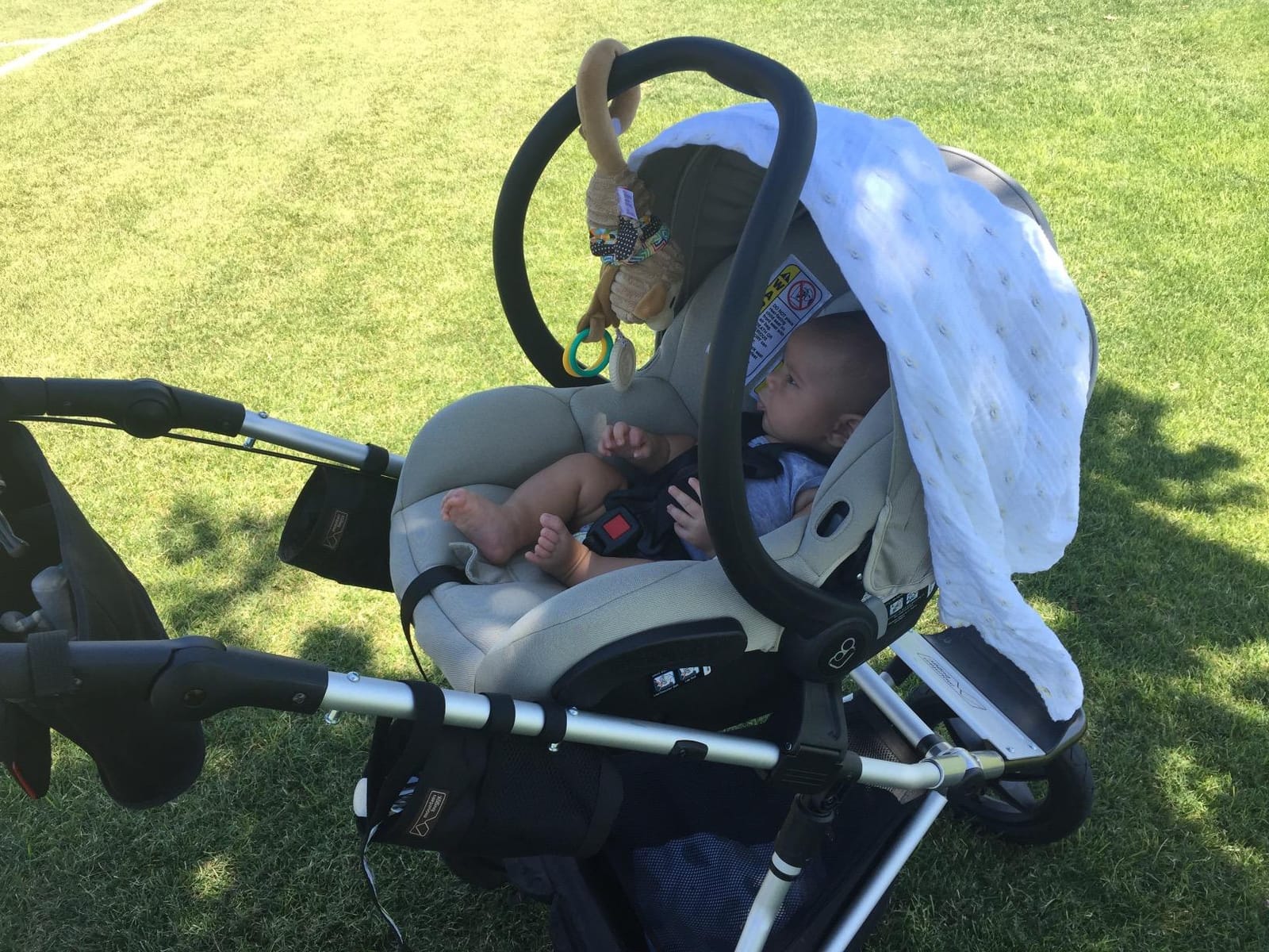 Mountain Buggy Terrain Premium Jogging Stroller, Solus (TER-V3-49), One Size customer photo 2