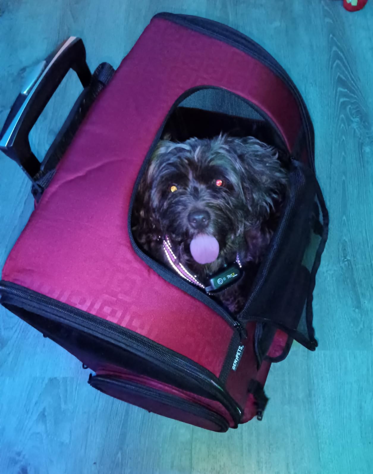 Gen7Pets Dog Carrier - Large Red Roller Bag Pet Carrier customer photo 2