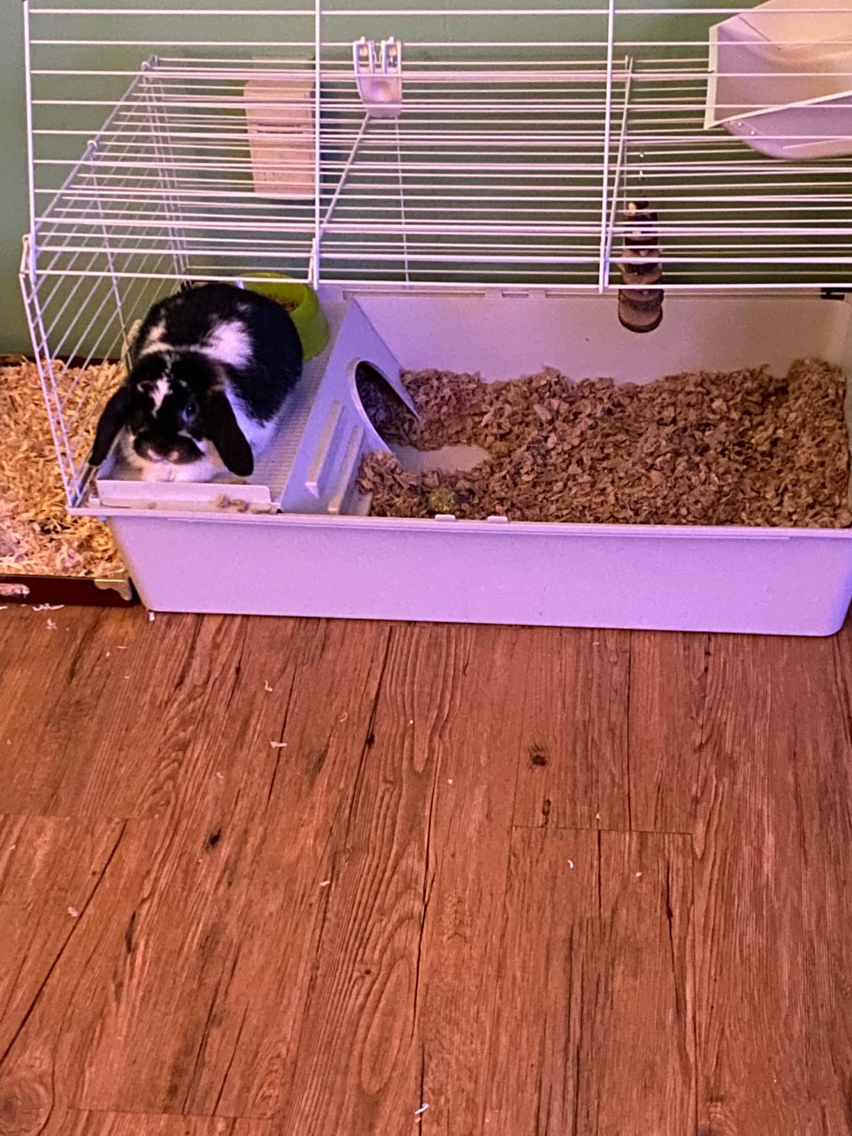 Ferplast Cavie Guinea Pig Cage & Rabbit Cage | Pet Cage Includes All Accessories to Get You Started & a 1-Year Warranty customer photo 1