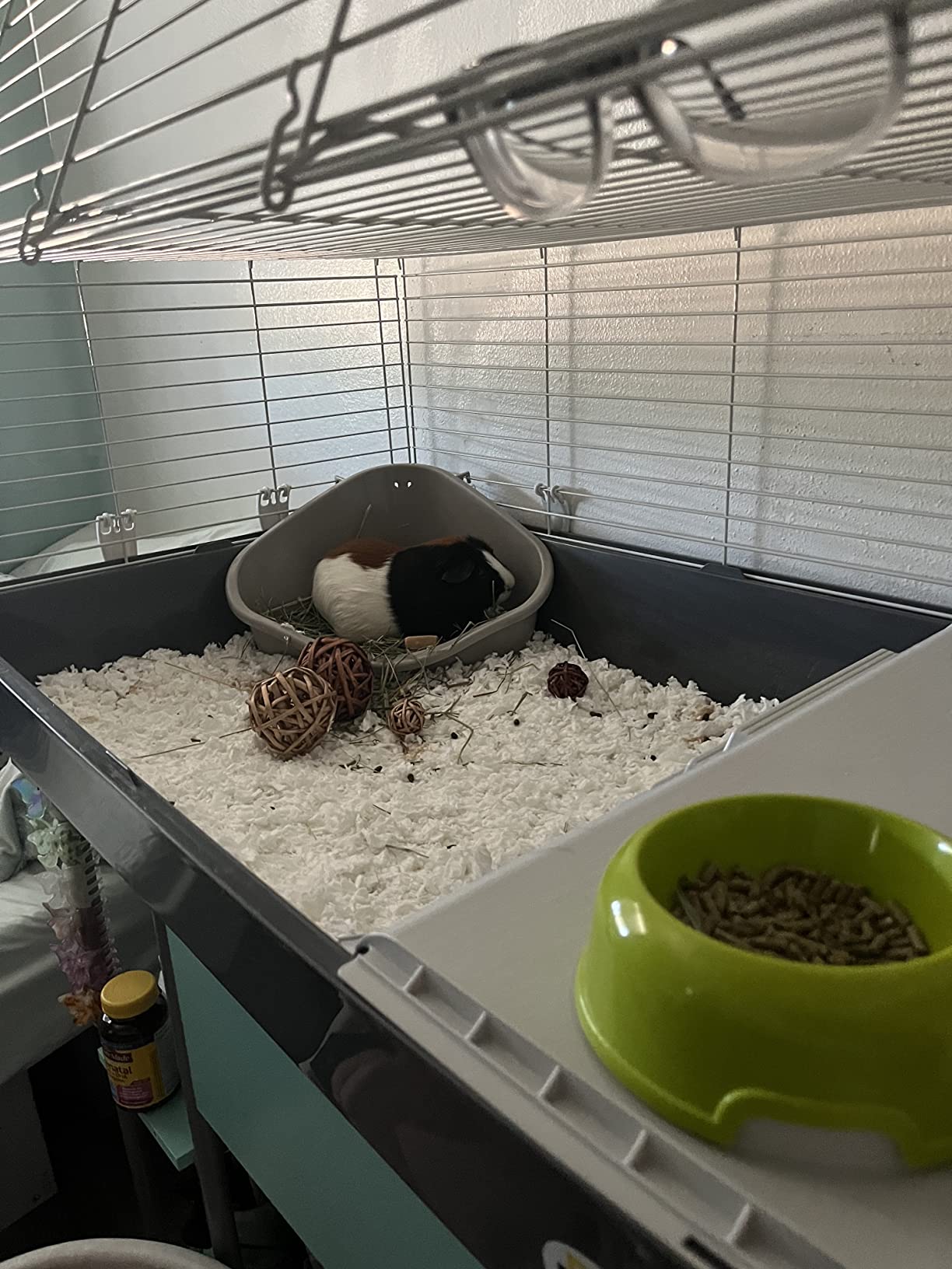 Ferplast Cavie Guinea Pig Cage & Rabbit Cage | Pet Cage Includes All Accessories to Get You Started & a 1-Year Warranty customer photo 2