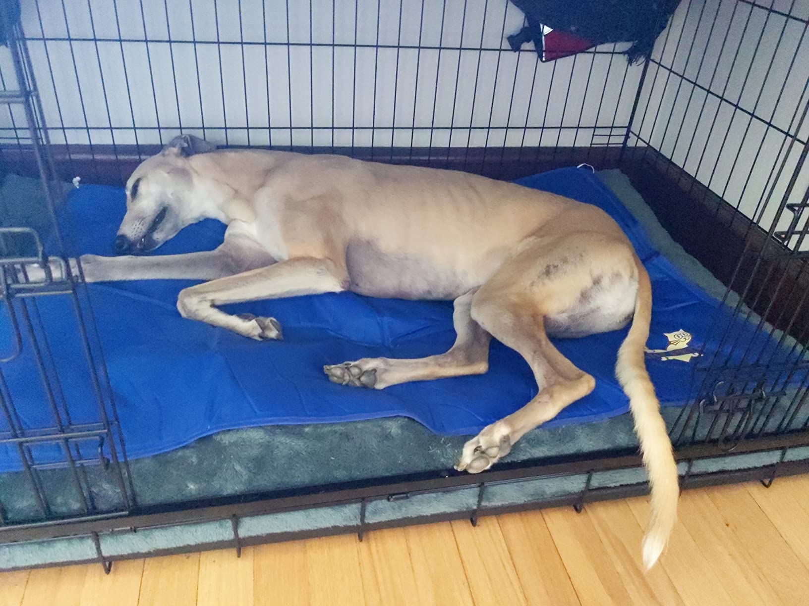 Arf Pets Dog Cooling Mat - Solid Gel Self-Cool Pad | Durable & Non-Toxic customer photo 2