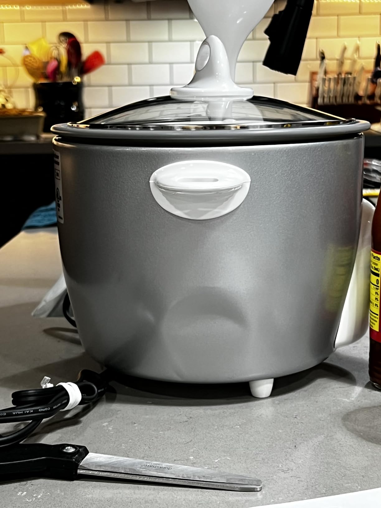 Panasonic Rice Cooker, Steamer & Multi-Cooker, 6-Cups (Cooked), 3-Cups (Uncooked), SR-G06FGL, Silver customer photo 2