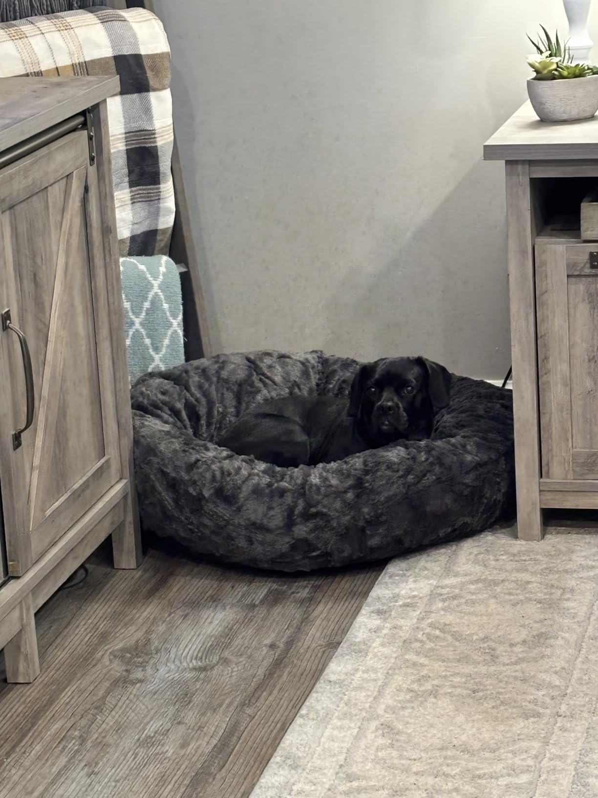 Best Friends by Sheri Original Calming Donut Dog Bed, Taupe, Small, 23