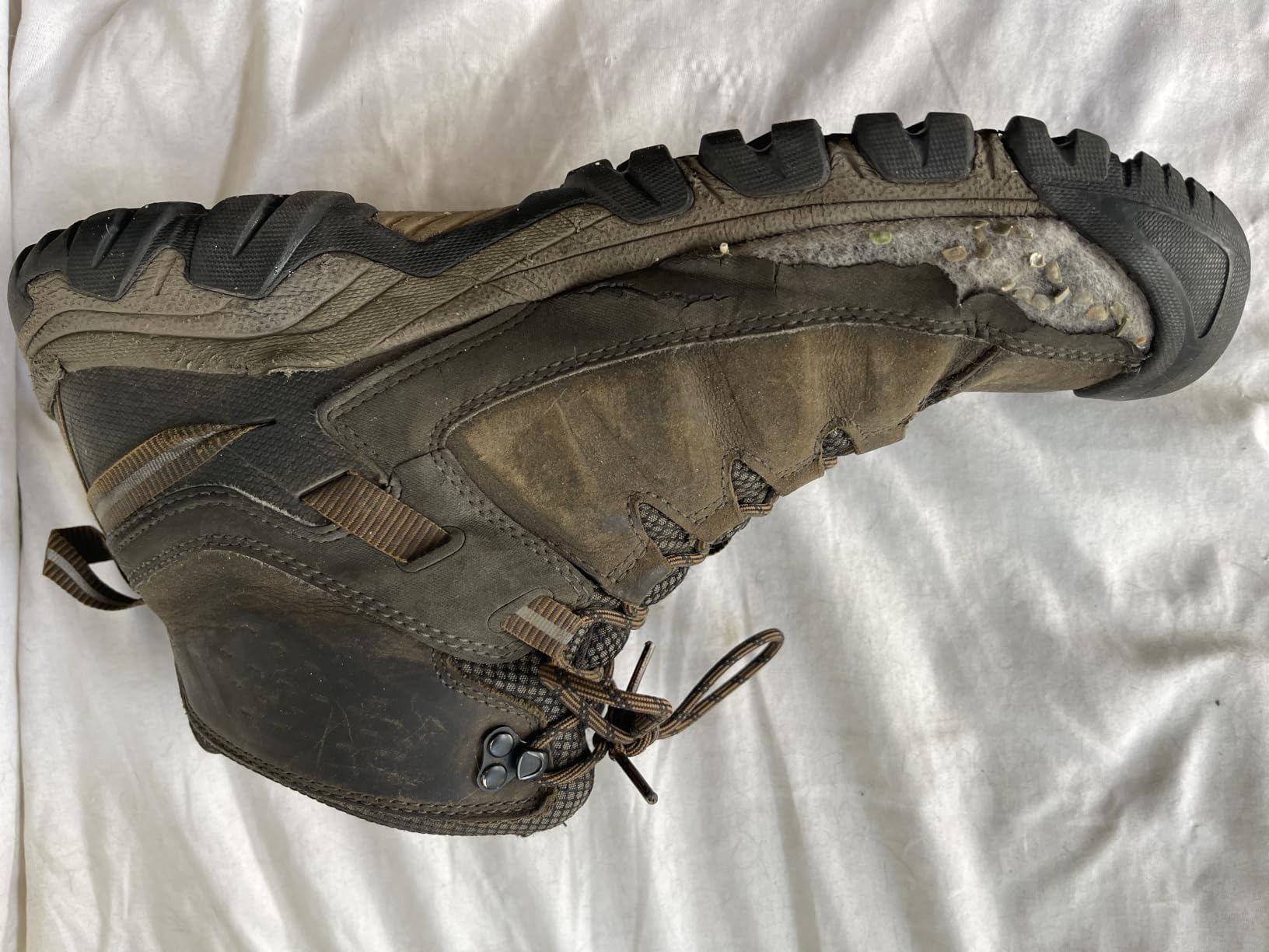 KEEN Men's Targhee III Mid Height Waterproof Hiking Boot customer photo 2