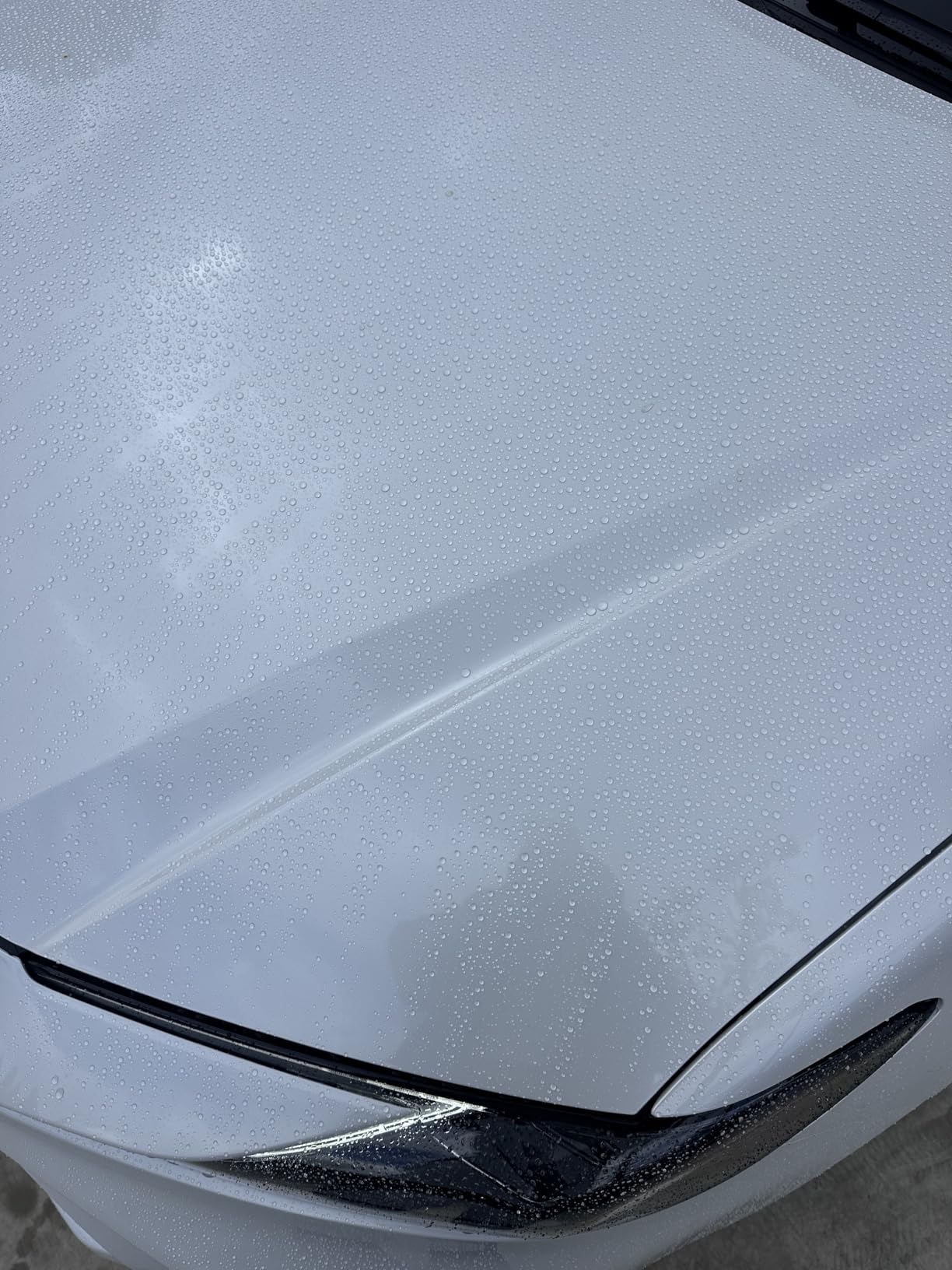 Meguiar's Hybrid Ceramic Wax, 26 Oz customer photo 1