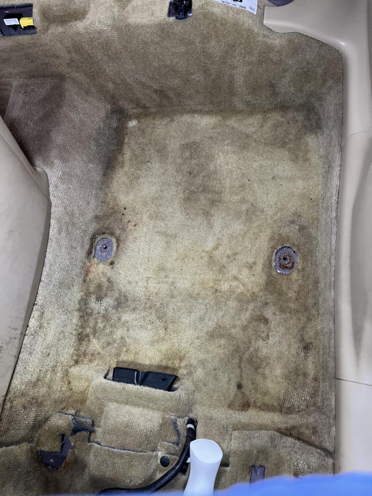Chemical Guys, Foaming Citrus Fabric & Carpet Cleaner, Seats & Mats, 16 oz customer photo 1