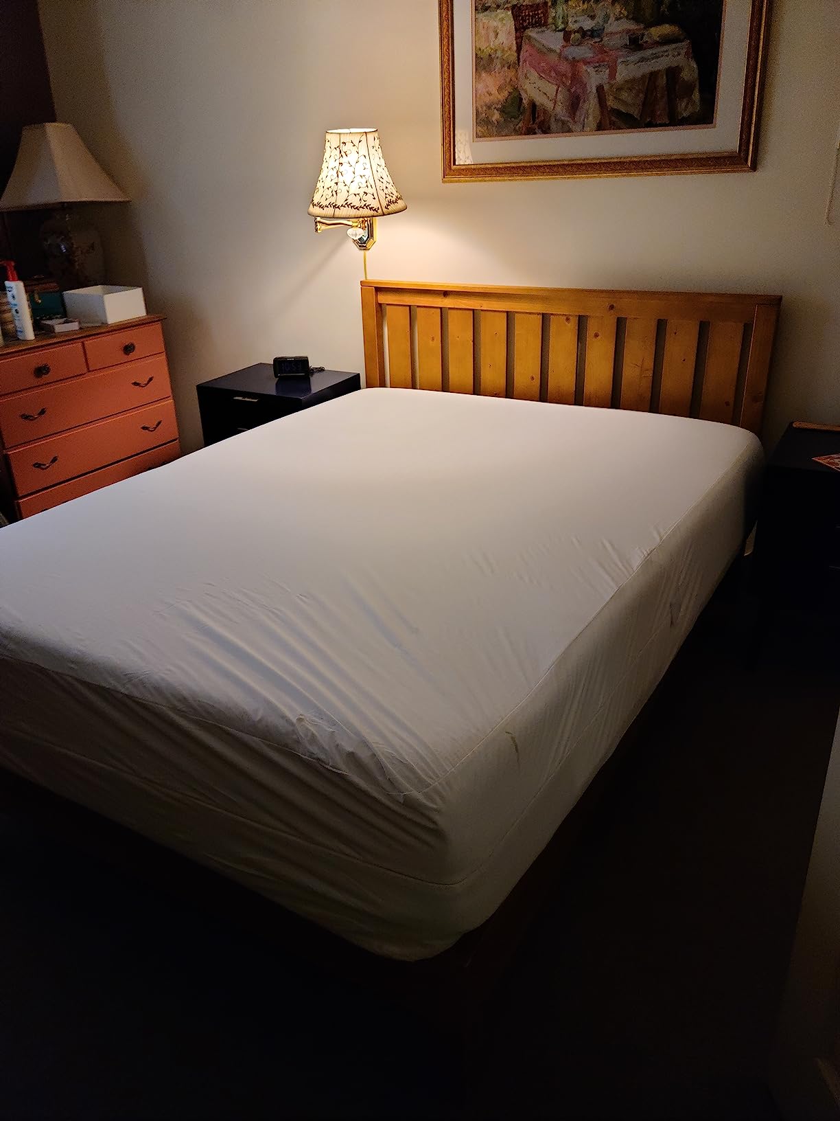 PlushDeluxe Mattress Encasement 100% Waterproof, Queen, Soft Cotton Terry customer photo 1