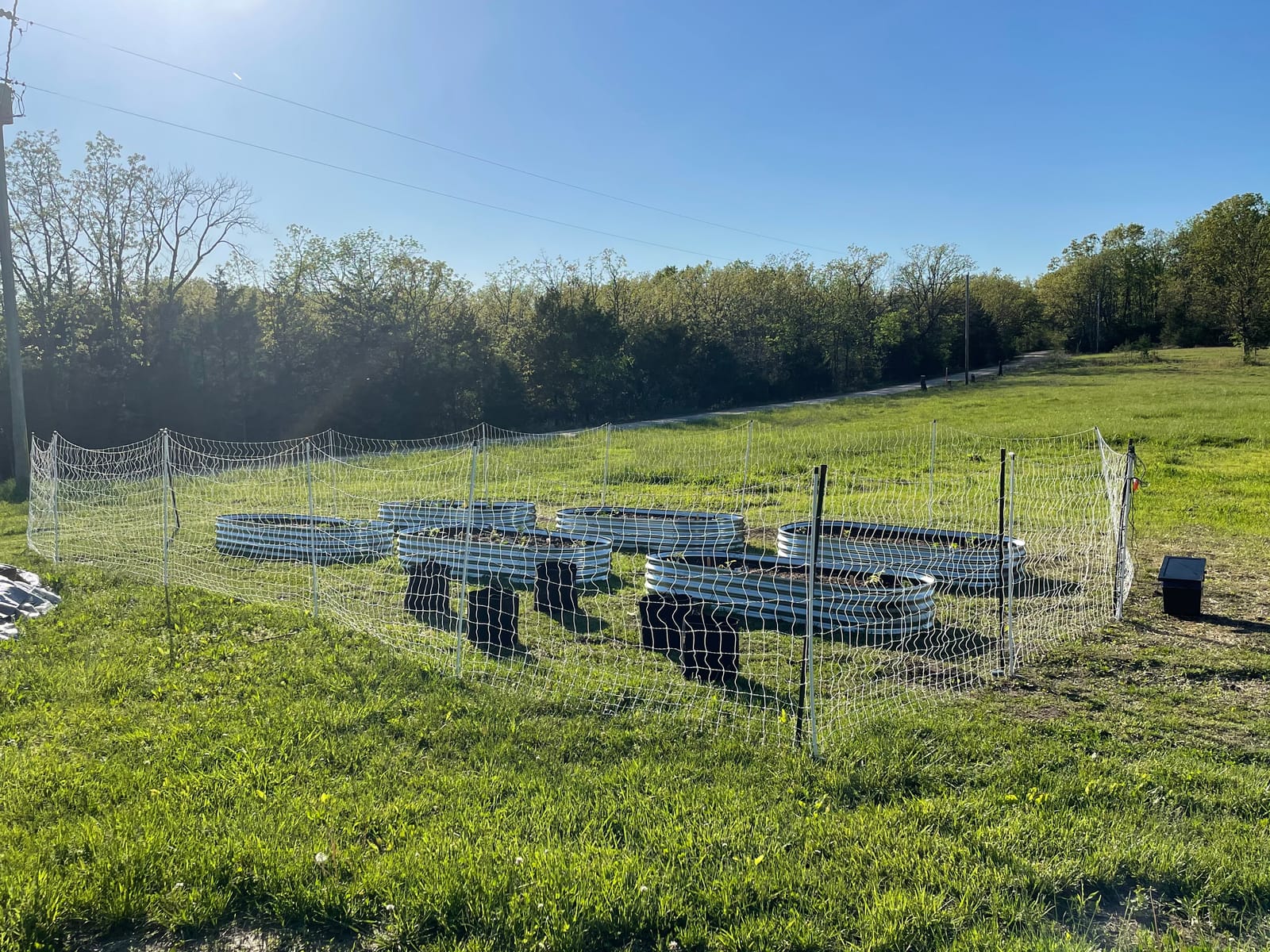 Premier 1 PoultryNet Plus Starter Kit for Chickens 48H x 100L, Solar Energizer, Support Posts and Tester customer photo 1