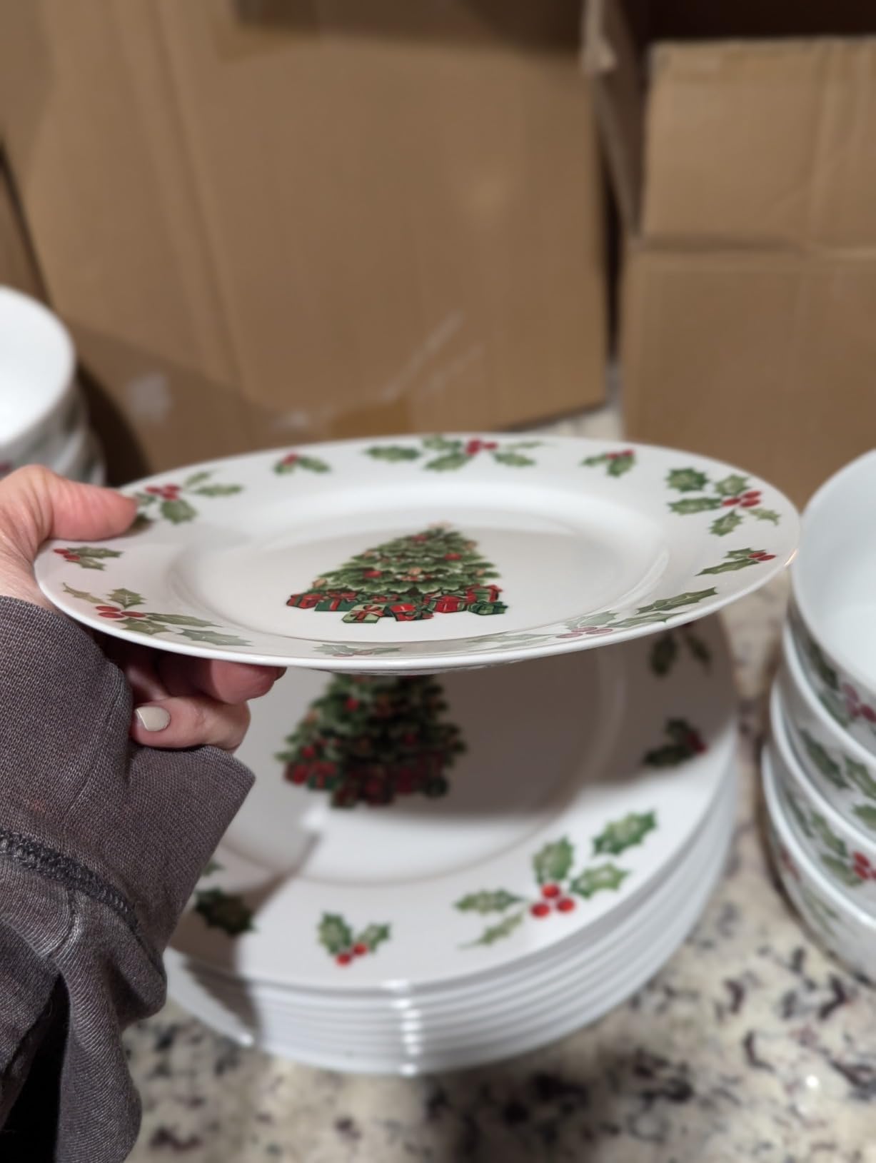 Pfaltzgraff Christmas Day 24-Piece Dinnerware Set Service for 8 Porcelain customer photo 2