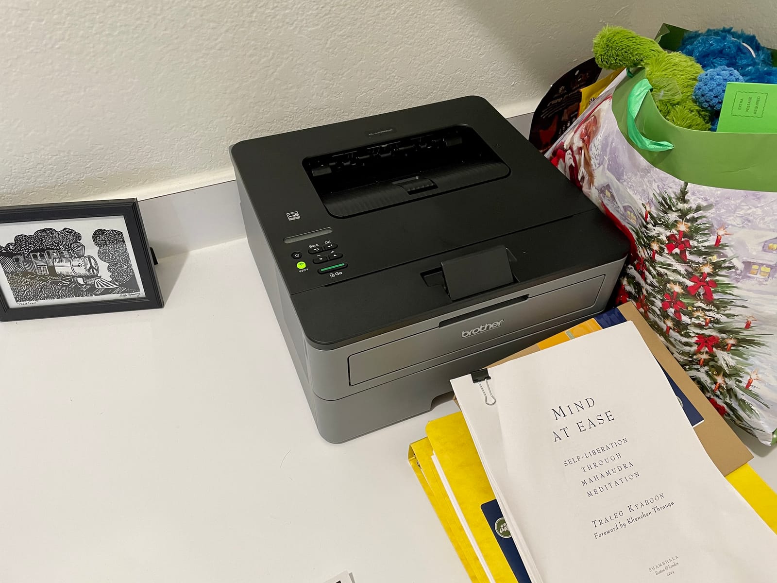 Brother Compact Monochrome Laser Printer, HL-L2350DW, Wireless Printing, Duplex Two-Sided Printing, Includes 4 Month Refresh Subscription Trial and Amazon Dash Replenishment Ready customer photo 1