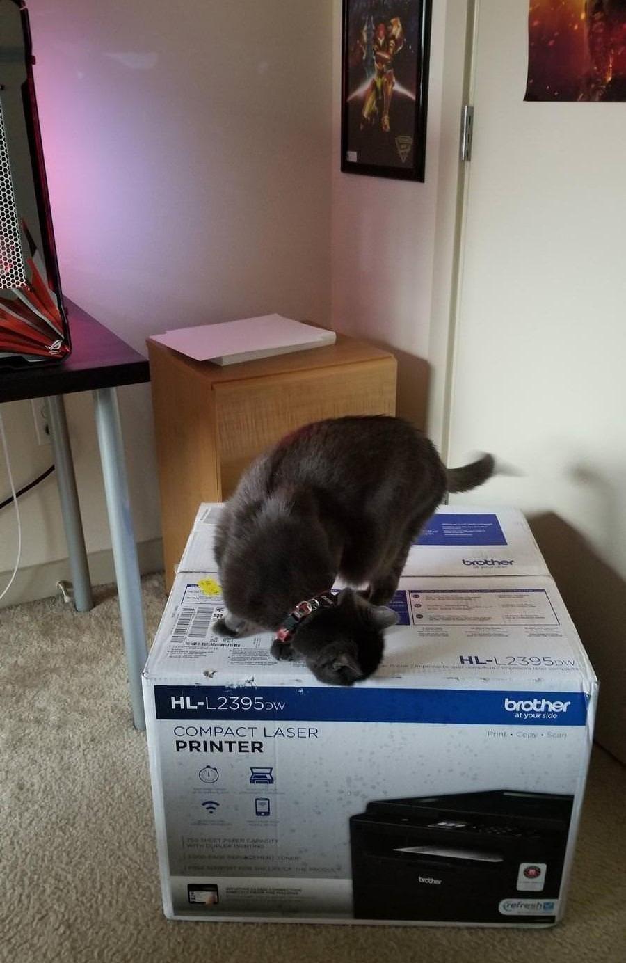Brother Compact Monochrome Laser Printer, HLL2395DW, Flatbed Copy & Scan, Wireless Printing, NFC with Refresh Subscription Free Trial and Amazon Dash Replenishment Ready customer photo 2