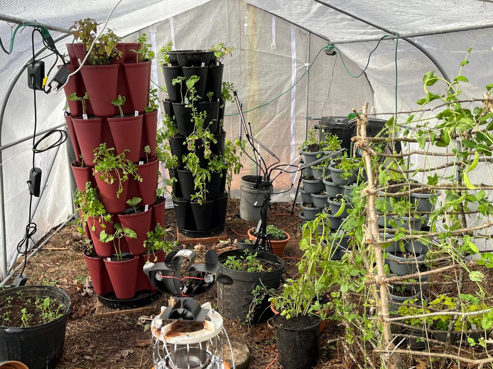 Greenstalk Patented Large 5 Tier Vertical Garden Planter with Patented Internal Watering System Great for Growing a Variety of Strawberries, Vegetables, Herbs, & Flowers (Stunning Stone) customer photo 2