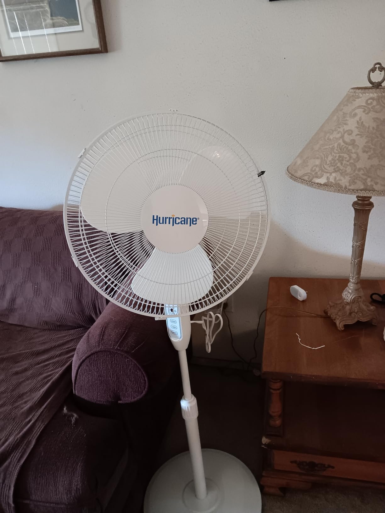 Hurricane Supreme Oscillating Pedestal Fan w/ Remote for Home, White, 16 in customer photo 1