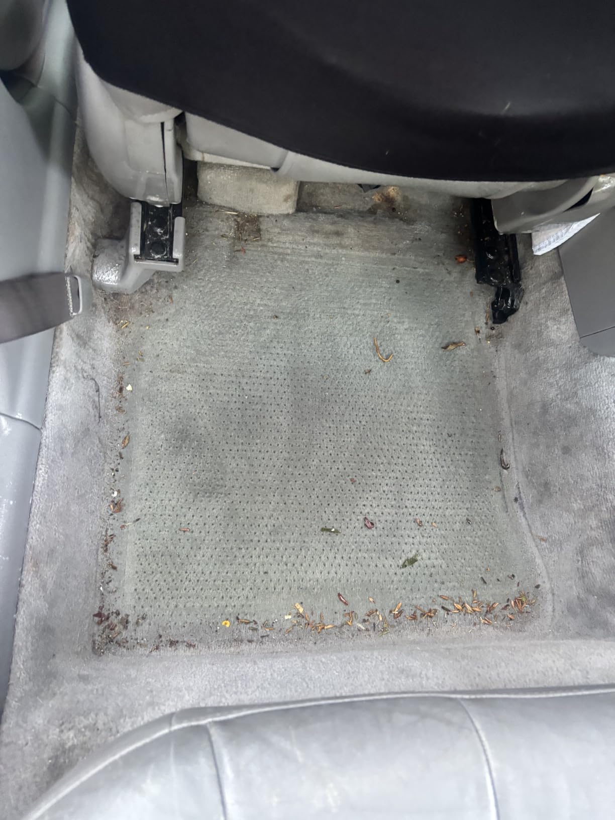 P & S PROFESSIONAL DETAIL PRODUCTS Carpet Bomber – Professional Upholstery Cleaner, Citrus-Based Formula, Removes Grease, Dirt & Odors, Highly Dilutable, Safe for Engines & Wheel Wells - 1 Gallon customer photo 1