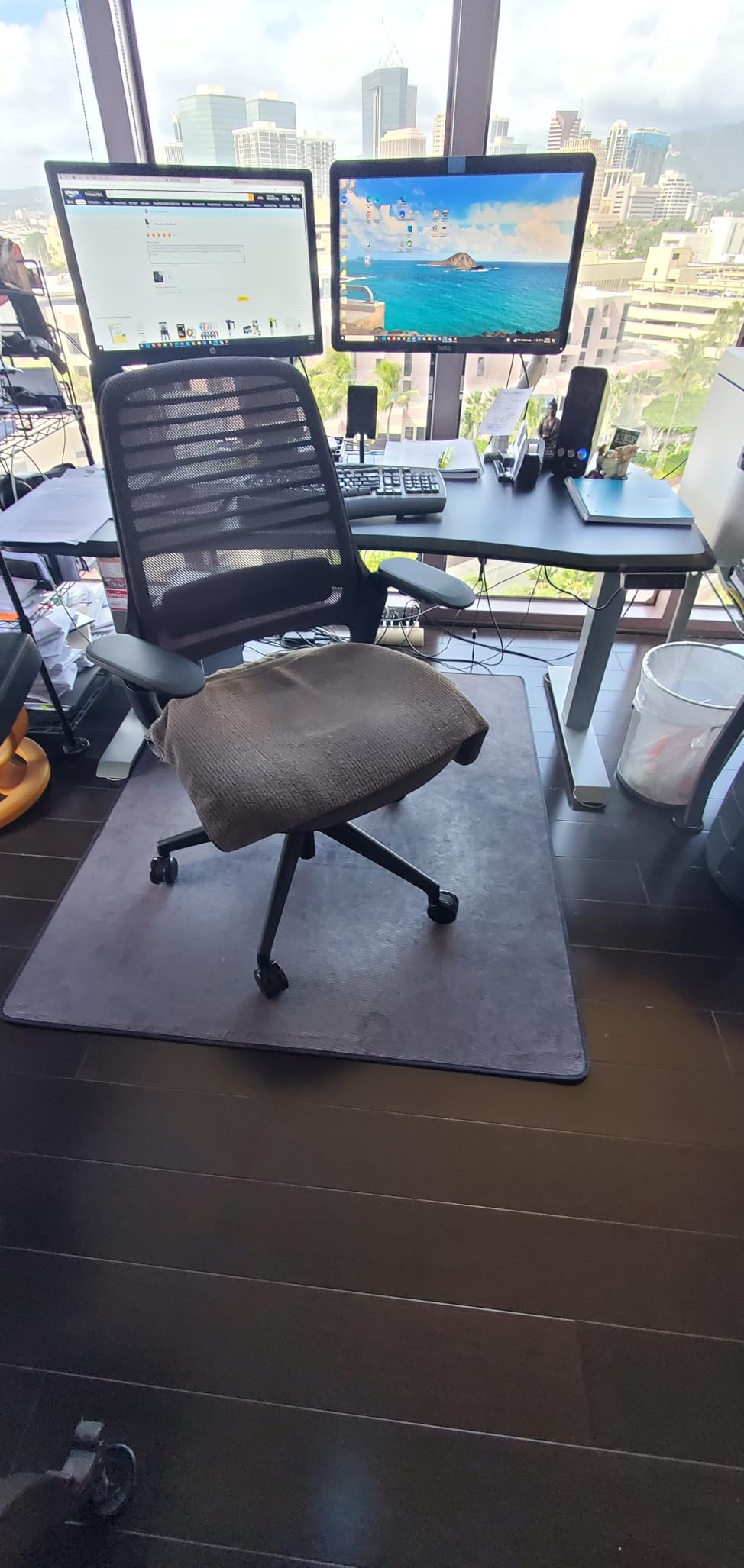 Series 1 Ergonomic Office Chair, Carpet Floors, Licorice | Ergonomic Work Chair with Wheels for Carpet, Helps Support Productivity, Weight-Activated Controls, Back & Arm Support customer photo 1