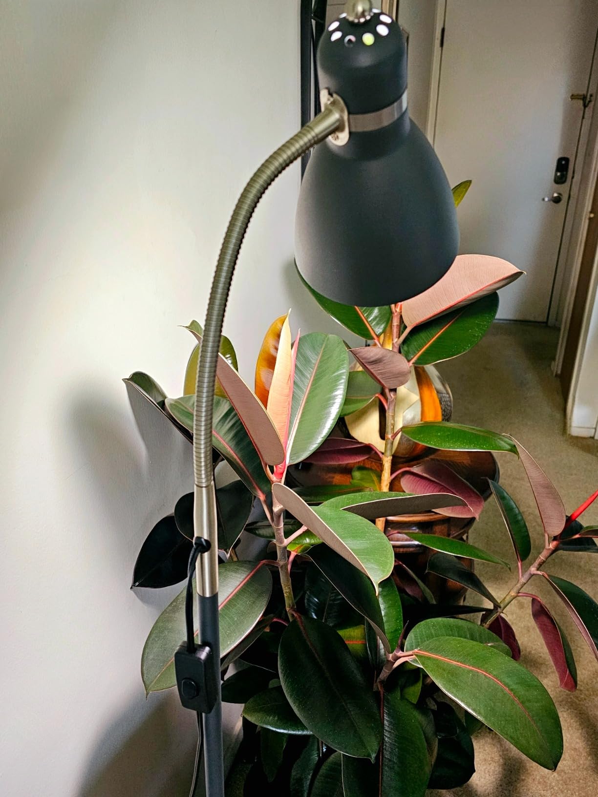 LEPOWER Floor Lamp, Metal Standing Lamp with Adjustable Gooseneck for Dorm customer photo 1