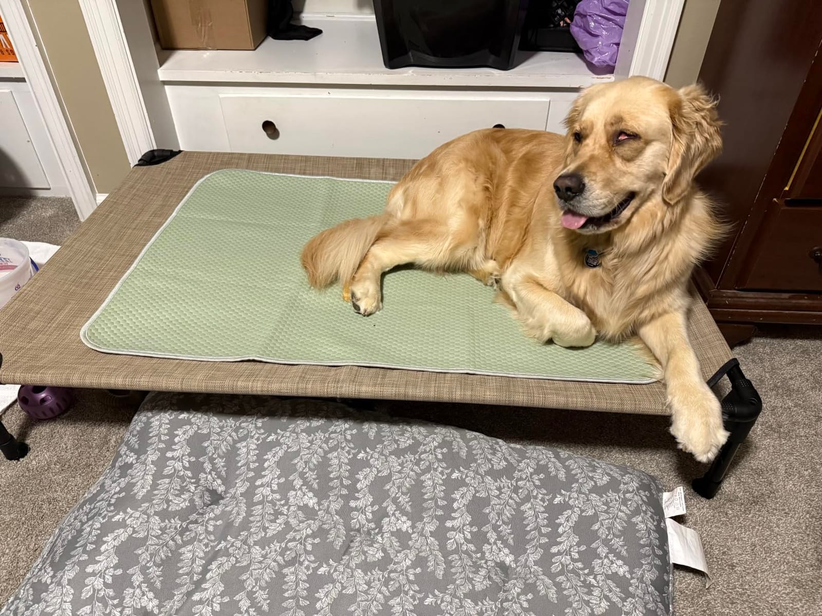 Veehoo Outdoor Elevated Dog Bed Large Sized Dogs, Cooling Raised Dog Cots customer photo 1