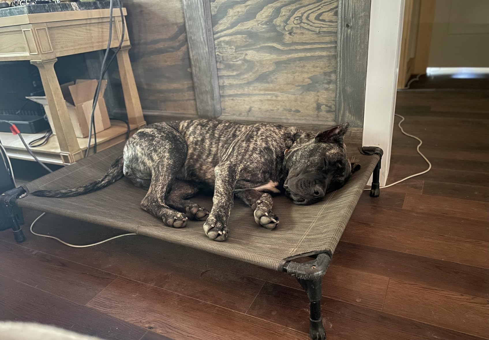 Veehoo Outdoor Elevated Dog Bed Large Sized Dogs, Cooling Raised Dog Cots customer photo 2