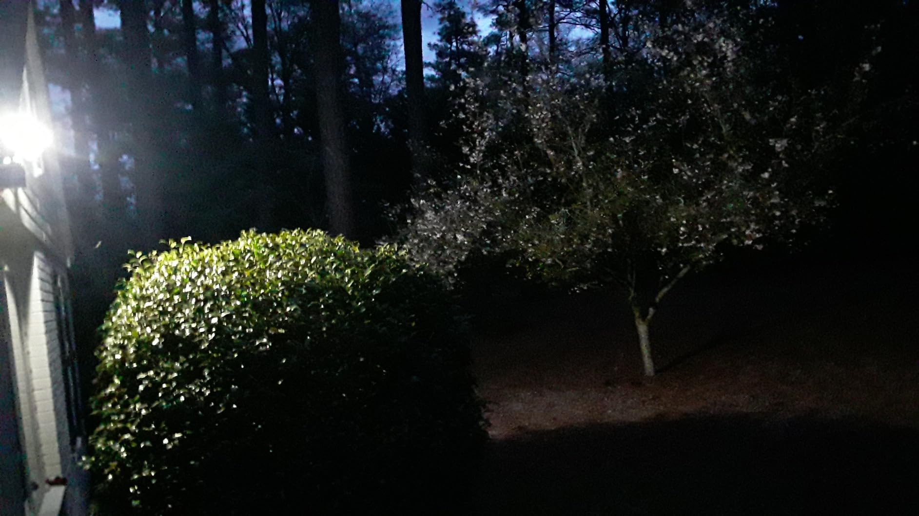 LEPOWER Solar LED Security Lights, PIR Motion Sensor Outdoor, 1600LM, Yard customer photo 1