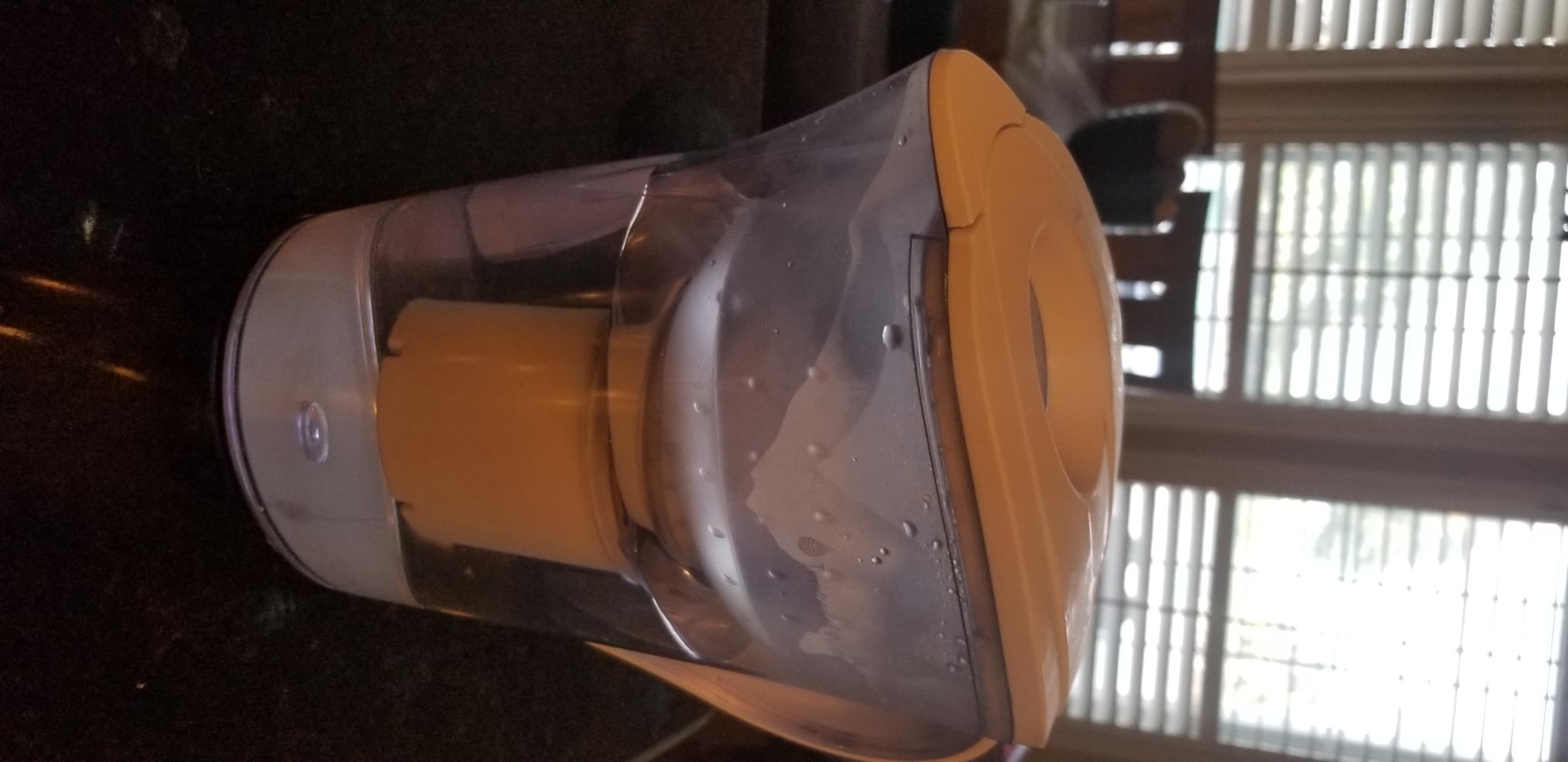 Invigorated Water High pH Alkaline Water Filter Pitcher, 15-Cup, White customer photo 1