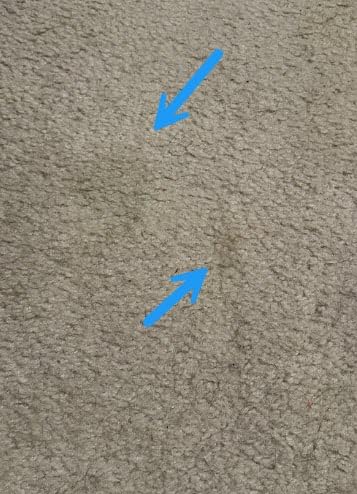 Bissell Multi-Surface Solution, For use in CrossWave and other leading hard surface and area rug cleaners, 64oz, Dissolves dirt, grime, and tough sticky messes customer photo 2
