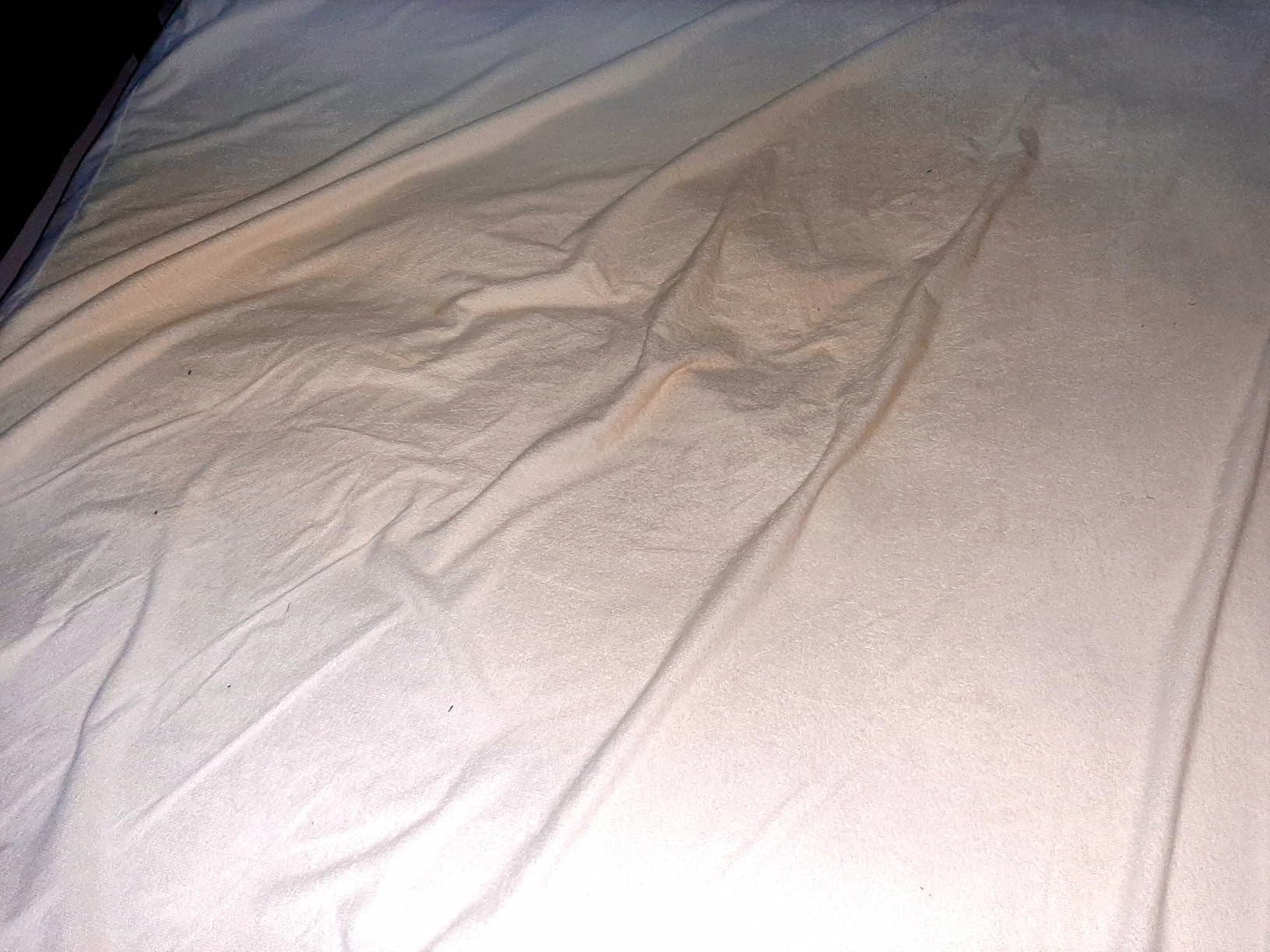 Bed Bug Mattress Encasement Queen, Mattress Protector, Fits 13-15 Inch customer photo 1
