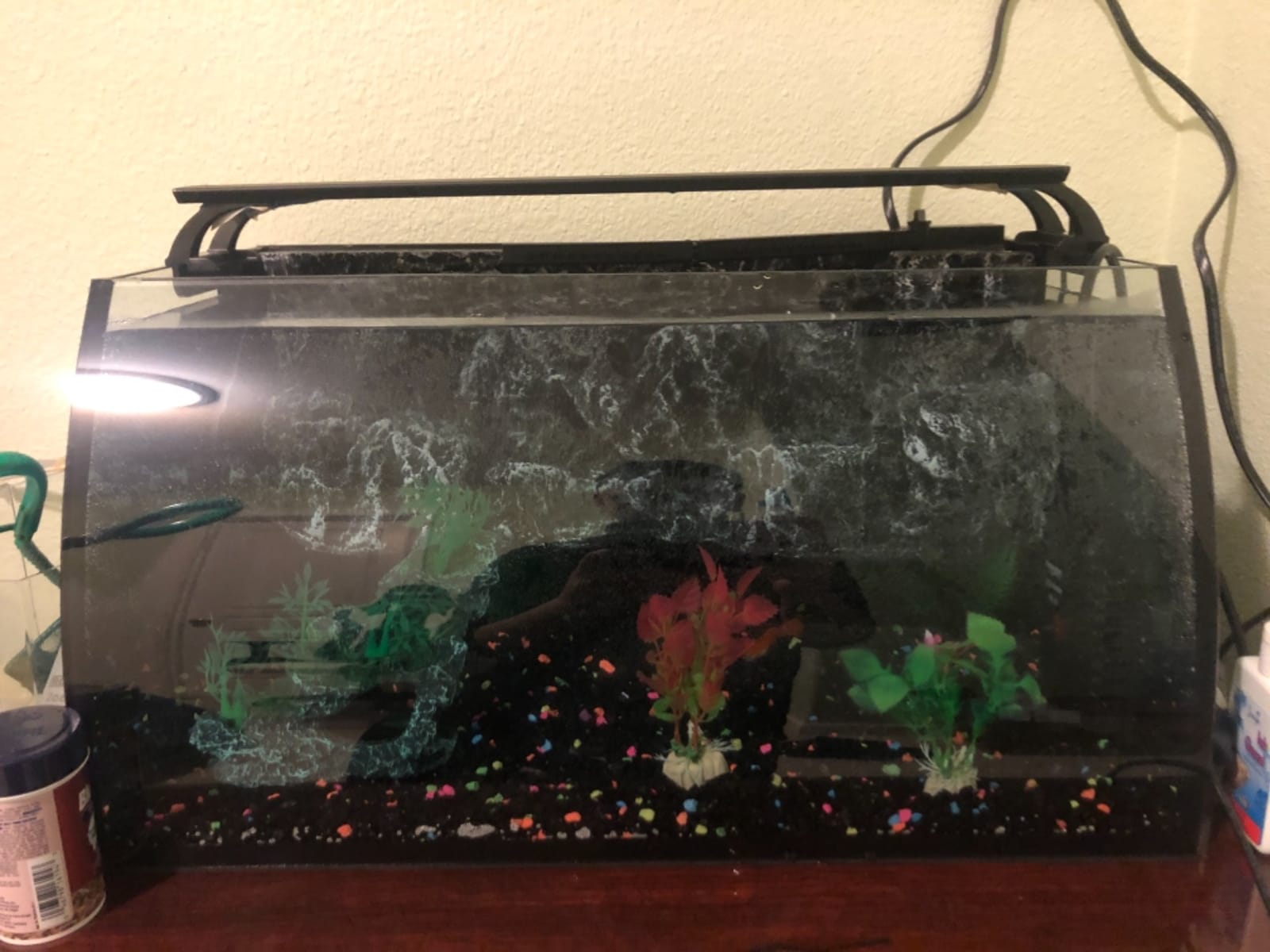 hygger Horizon 8 Gallon LED Glass Aquarium Kit for Starters with 7W Power Filter Pump, 18W Colored led Light, Wide View Curved Shape Fish Tank with Undetachable 3D Rockery Background Decor customer photo 2