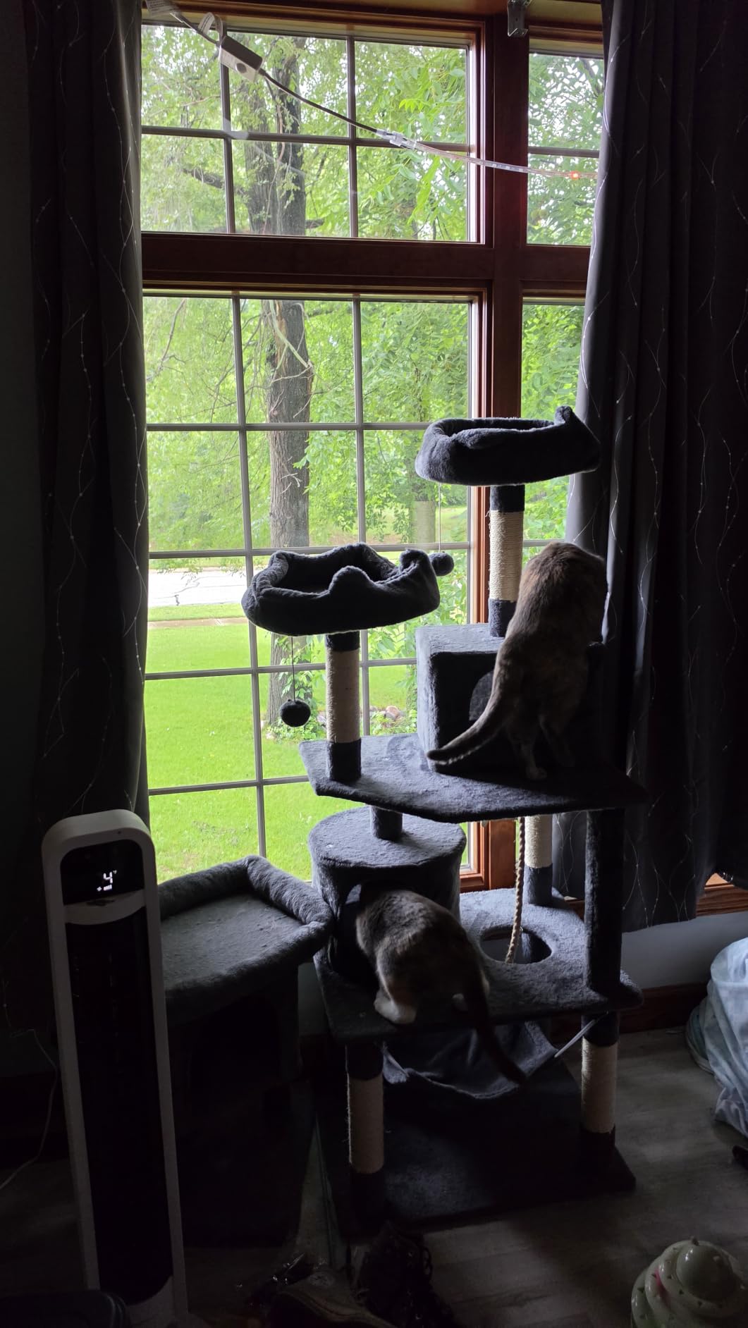 Yaheetech 62.5in Tall Cat Tree w/2 Cat-Ear Perches & 2 Condos, Dark Gray customer photo 2