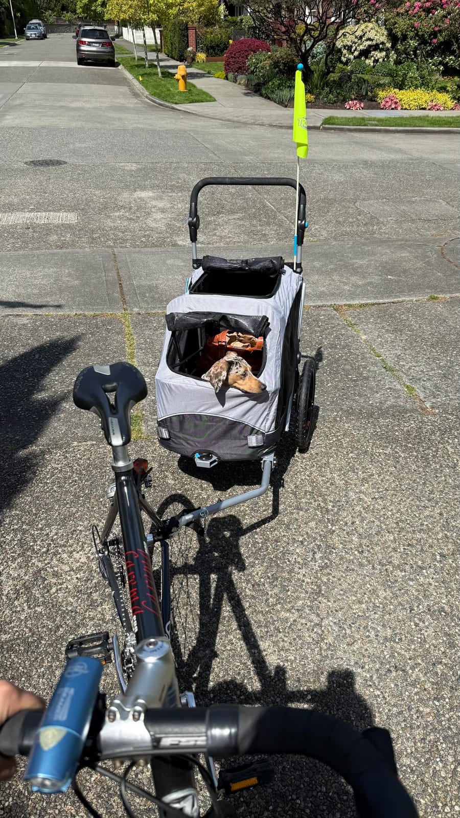 Trixie Quick-Fold Convertible Dog Bike Trailer, Quick Set-up and Fold Down, Easily Converts to Pet Stroller customer photo 2