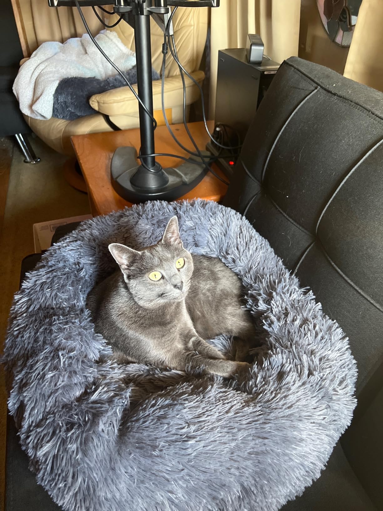 Love's cabin Calming Dog & Cat Bed, Cat Bed for Indoor Cats, Anti-Anxiety Donut Round Bed, Fluffy Warming Pet Bed for Small Medium Dogs and Cats, Beige Taupe 20