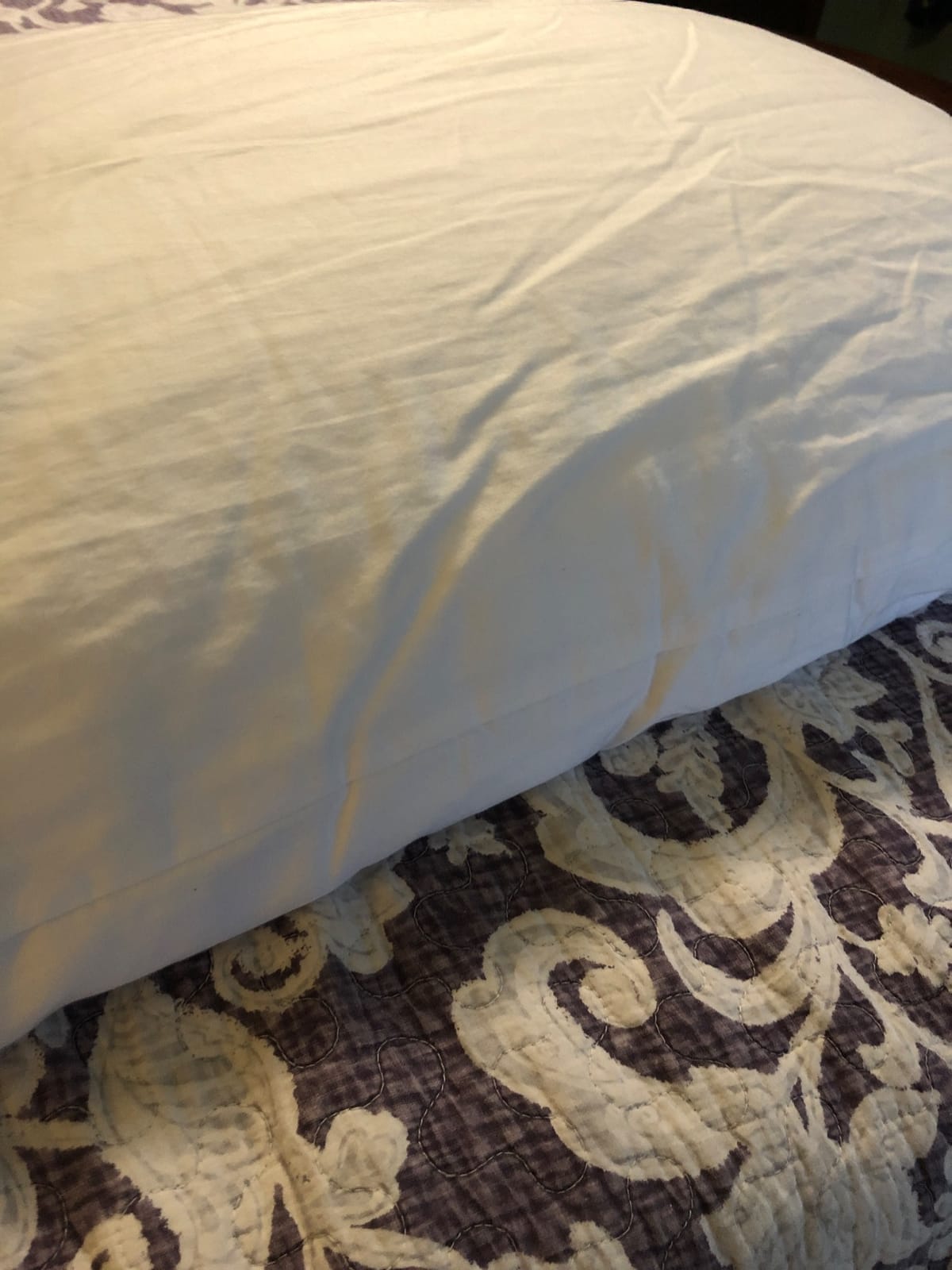 RejuveNite American Talalay Latex Bed Pillow, Queen High Profile customer photo 2