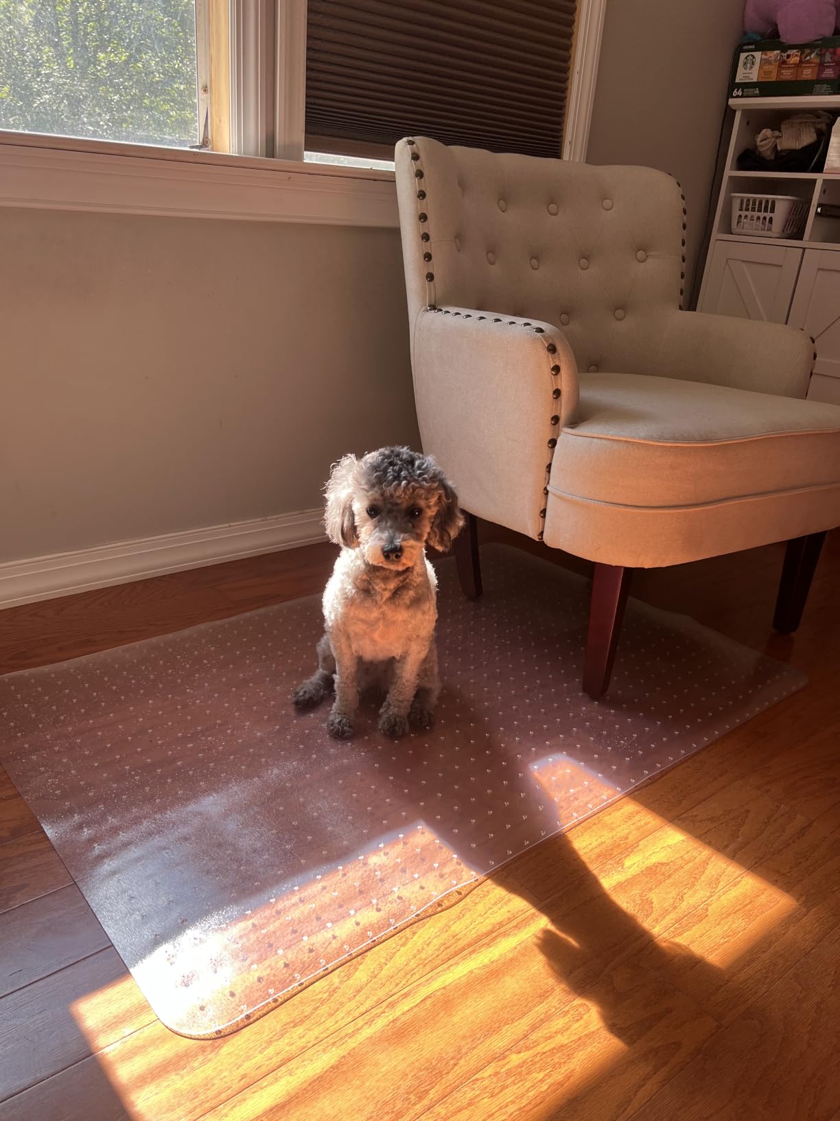 BesWin Office Chair Mat for Hardwood Floor, 36