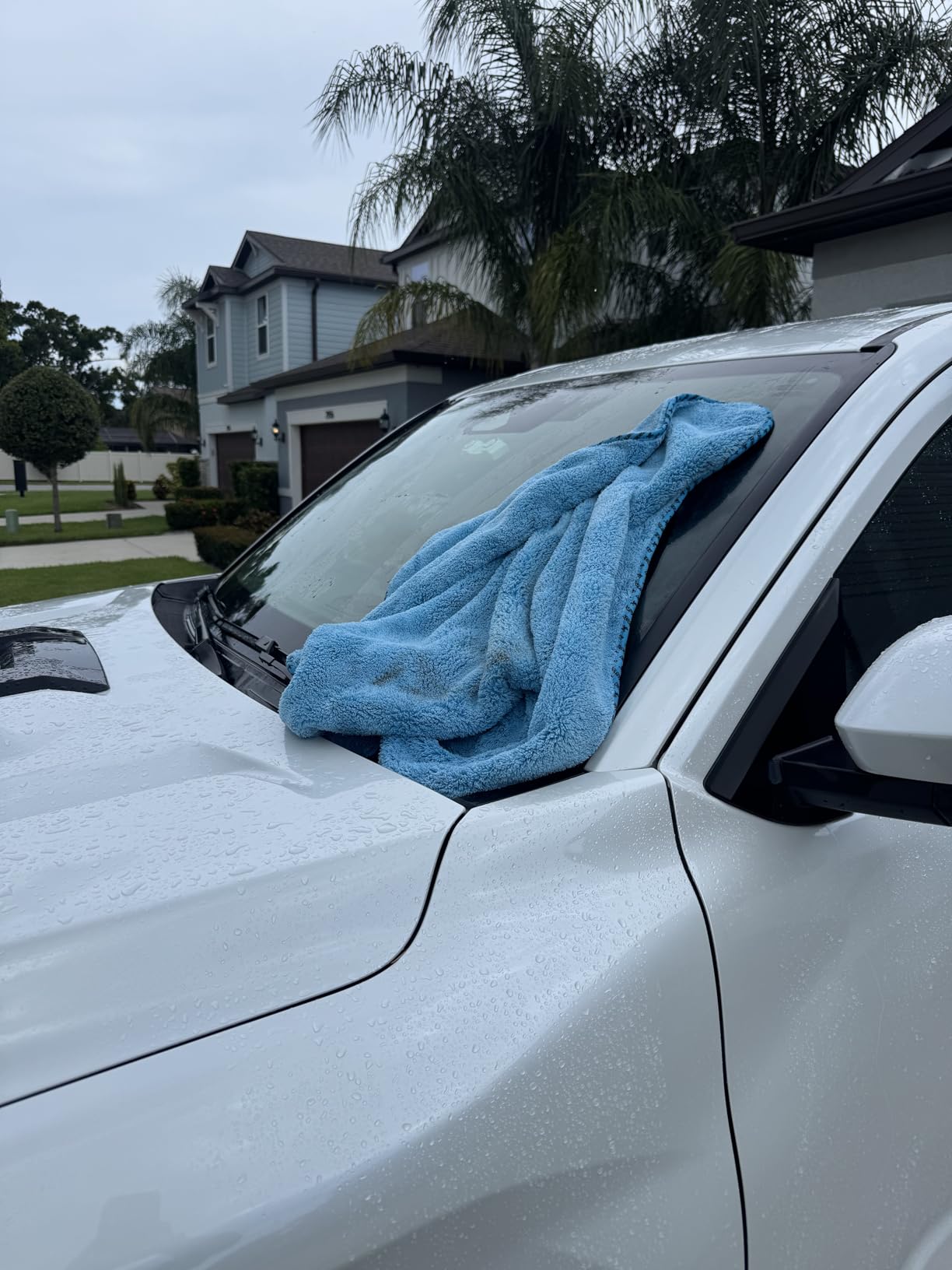 Chemical Guys, Woolly Mammoth Large Microfiber Drying Towel, Blue, 36 x 25 customer photo 1