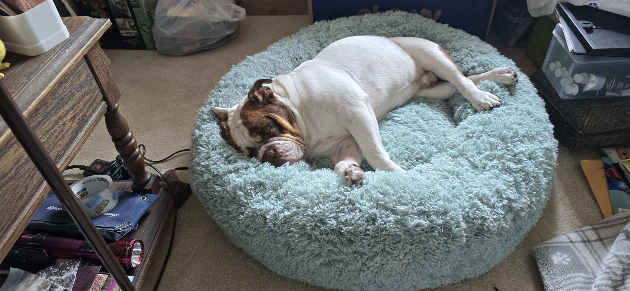 Bedsure Calming Dog Bed Medium Size Dog Donut Washable Pet Bed,30ins Camel customer photo 1