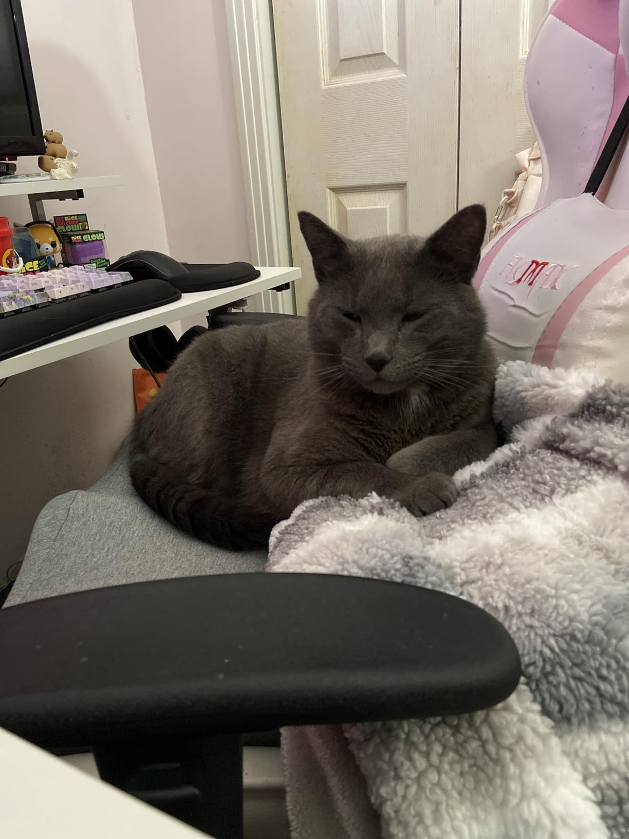 Cushion Lab Patented Pressure Relief Seat Cushion for Long Sitting Hours on Office & Home Chair - Extra-Dense Memory Foam for Soft Support. Car Pad for Hip, Tailbone, Coccyx, Sciatica - Black customer photo 2