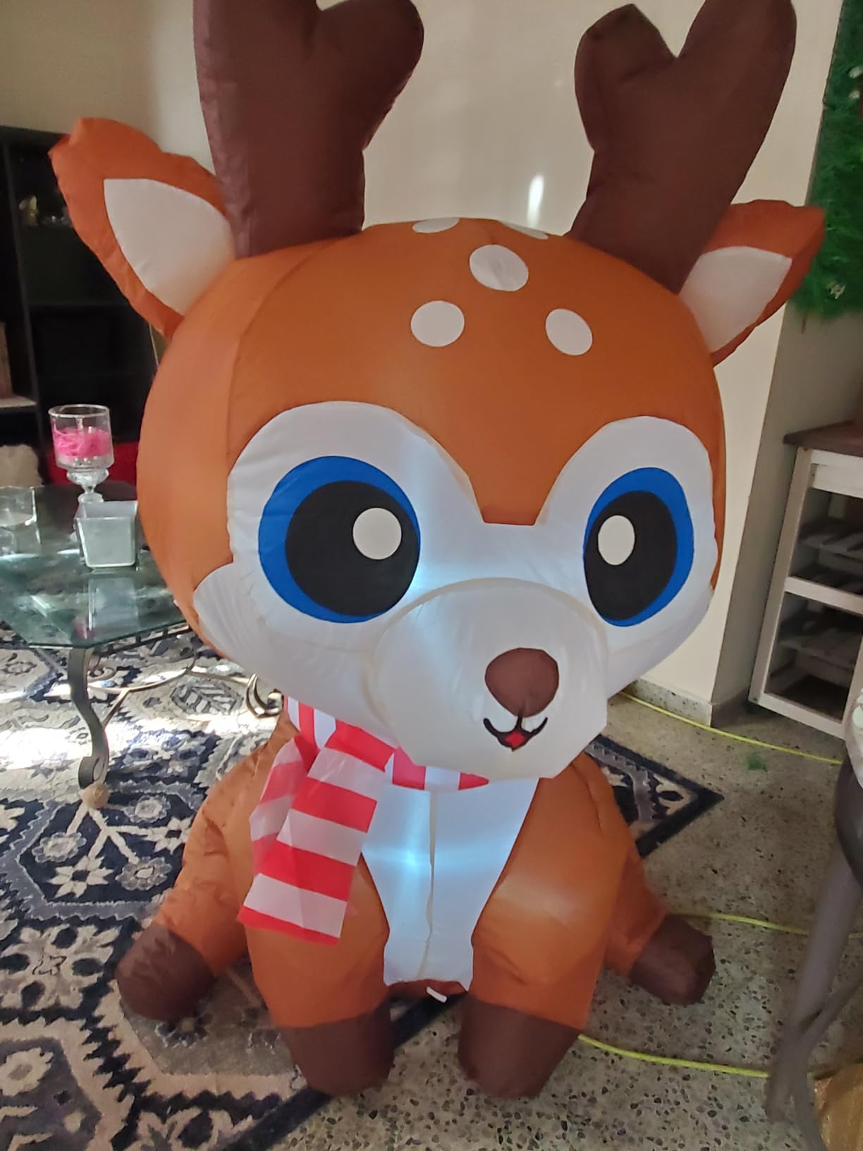 GOOSH 5 FT Christmas Inflatable Reindeer Outdoor Decoration Blow Up Yard Cute Deer with Built-in LEDs for Indoor Party Xmas Garden Lawn Decor customer photo 1