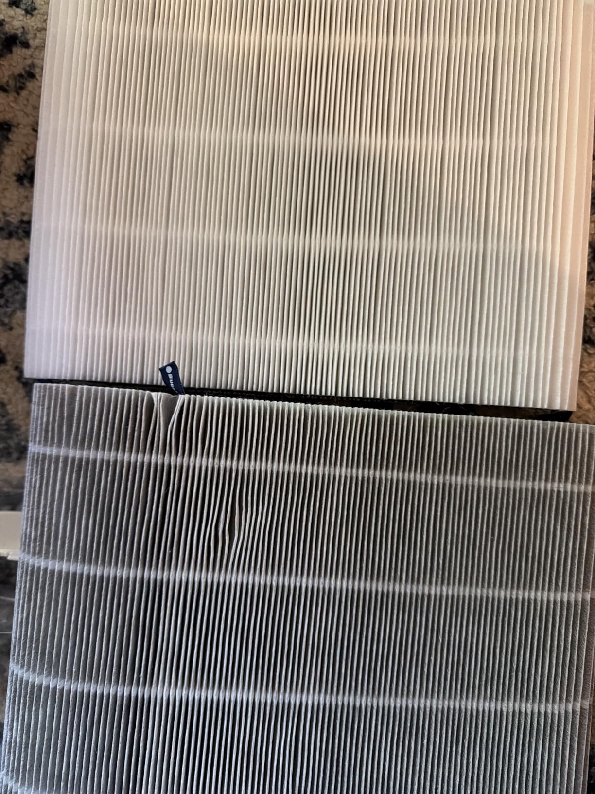 BLUEAIR Air Purifiers for Home Bedroom Dorm Office up to 907 Ft², Blue 511 customer photo 2