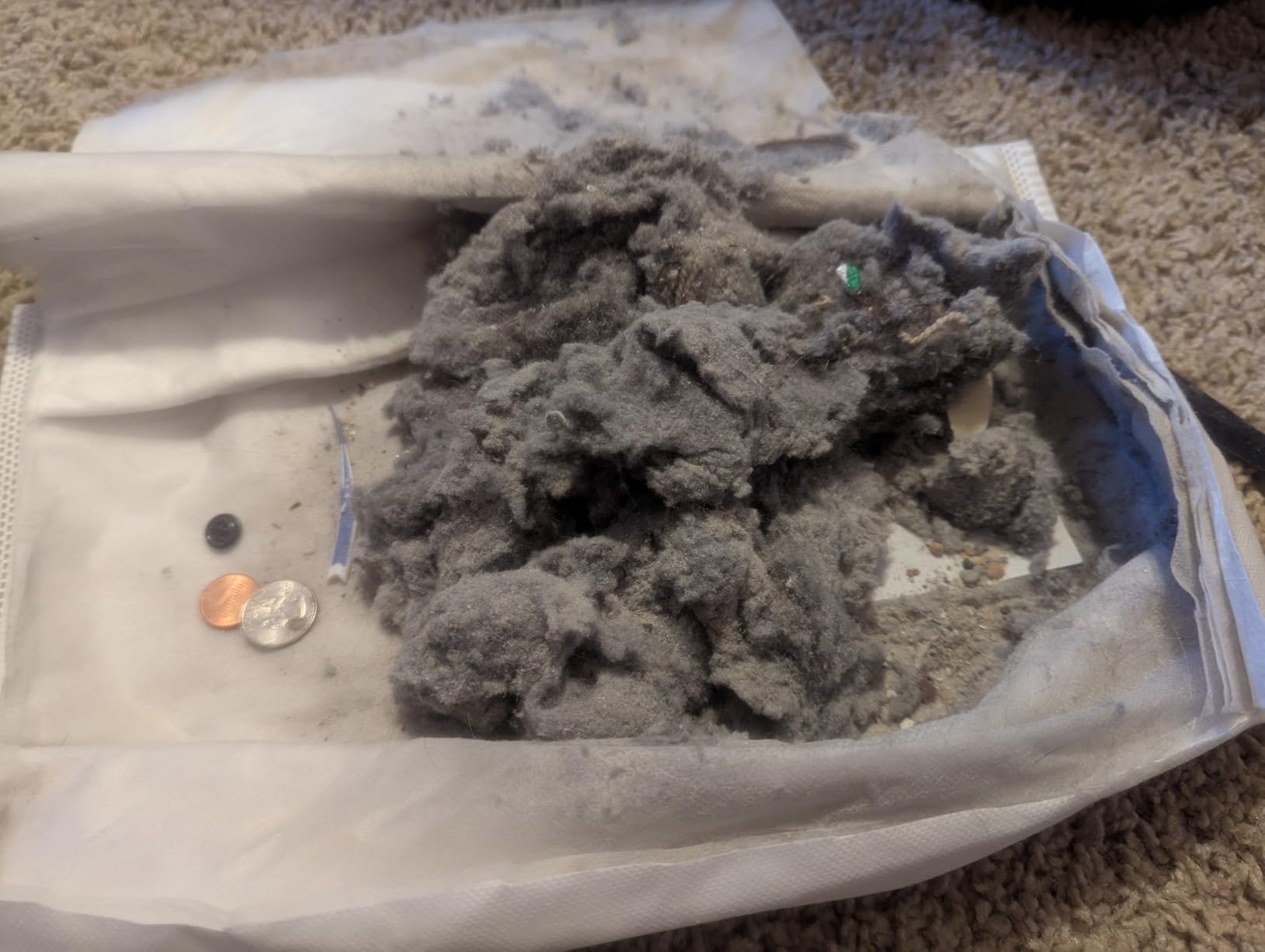 Kenmore Pet Friendly Lightweight Bagged Canister Vacuum Cleaner customer photo 1