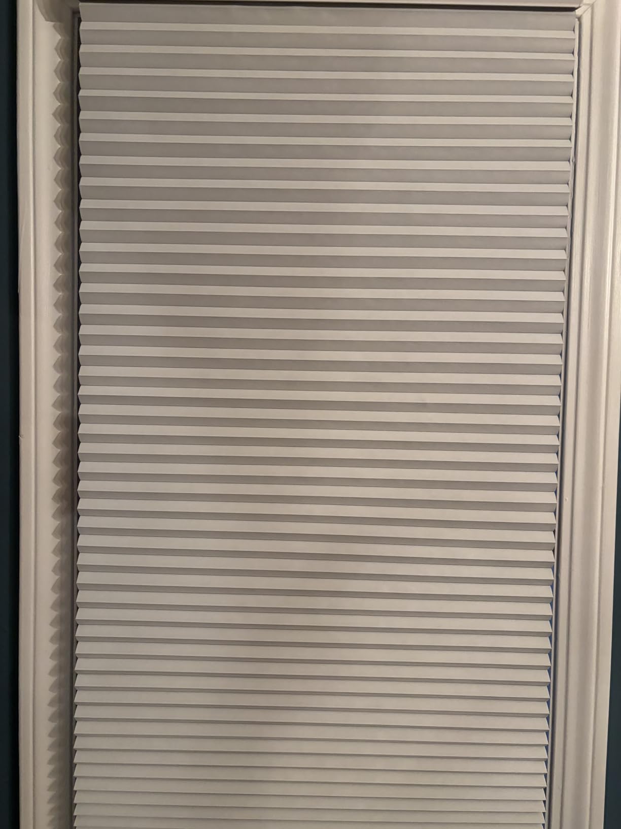 MYshade Cordless Blackout Cellular Shades for Windows, Honeycomb Window Shades with Thermal Insulation, Child & Pet Safe Room Darkening Shade, Easy Install,24