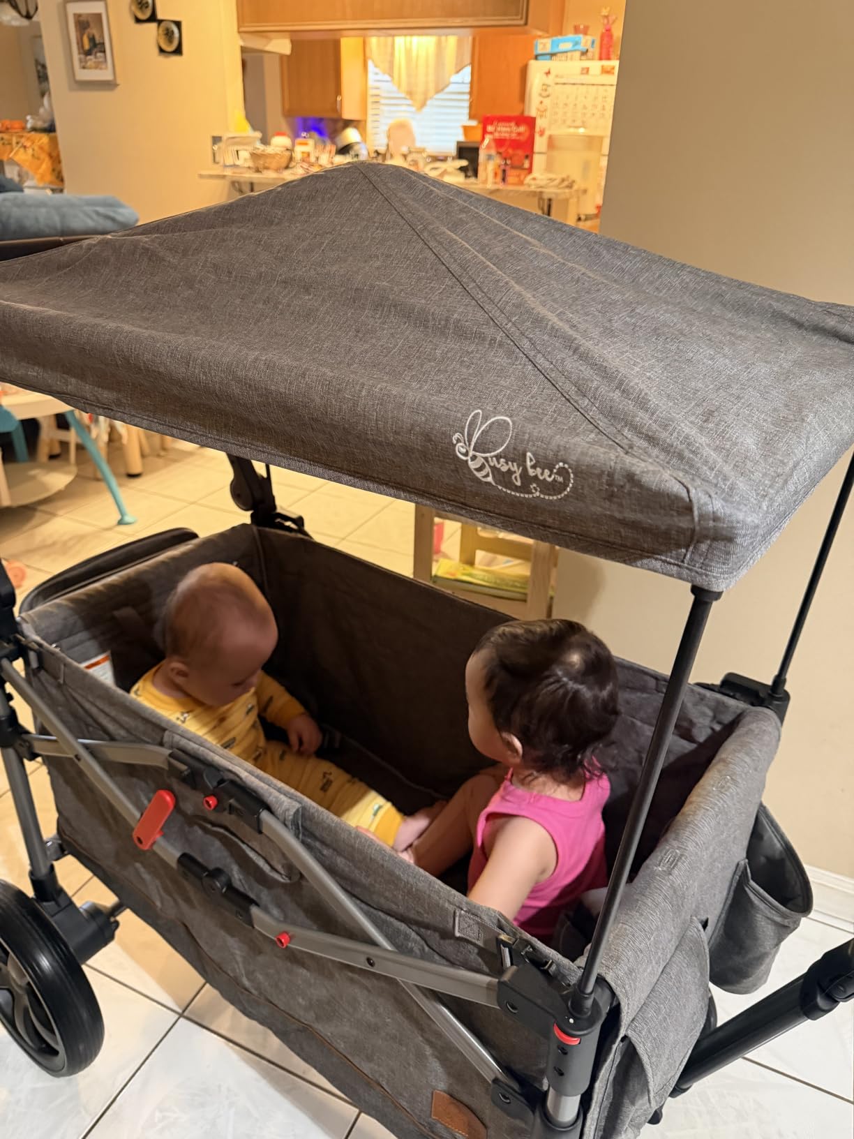 BusyBee Foldable Stroller Wagon for 2 Kids, Dual 5-Point Harnesses, Gray customer photo 1