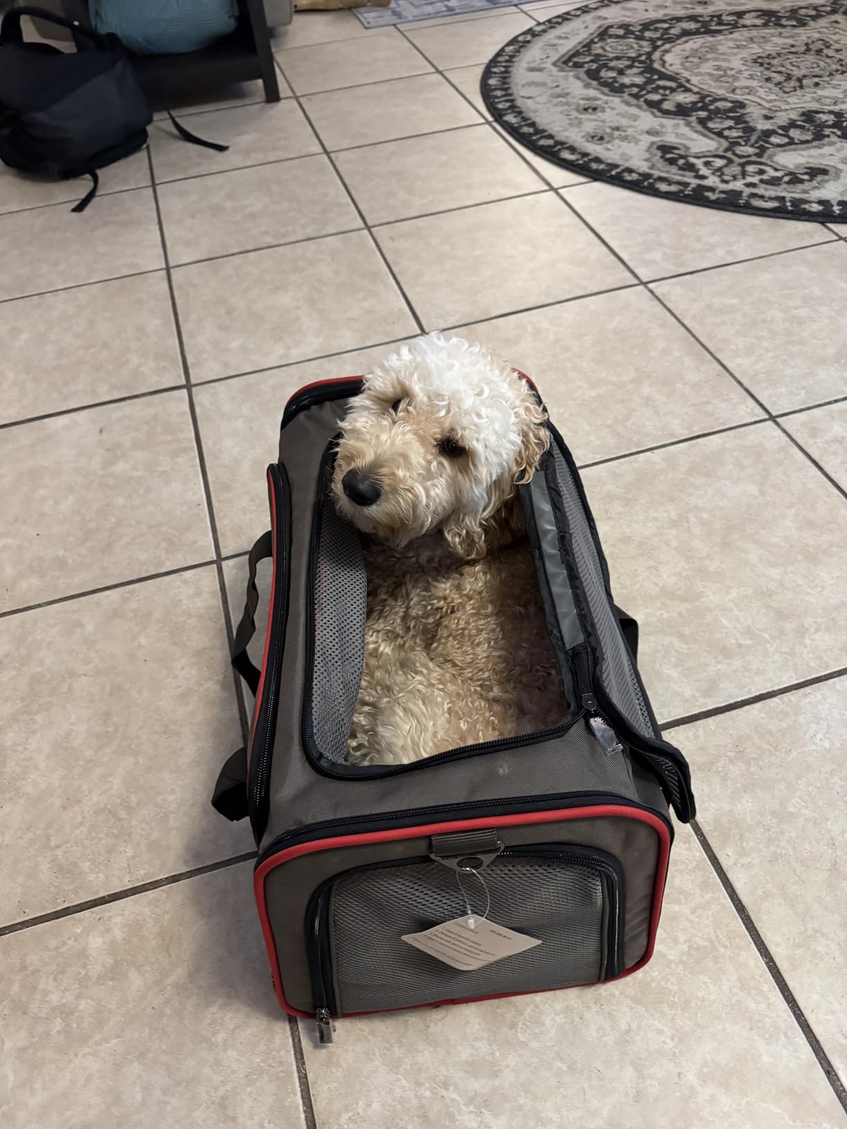 Petsfit Medium Expandable Cat Carrier for Air Travel, Up to 13 lb customer photo 2