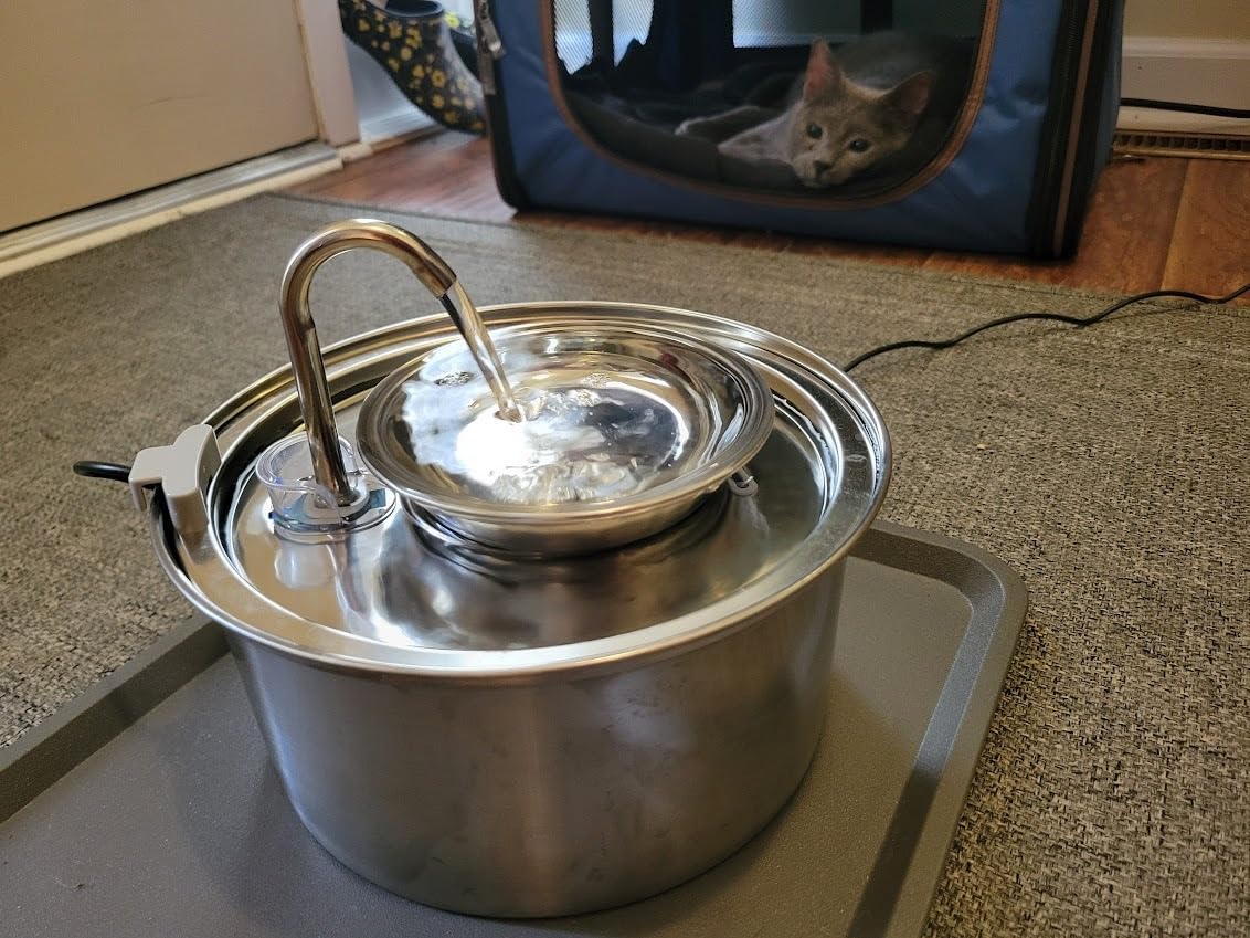 Tomxcute Cat Water Fountain Stainless Steel, 108oz/3.2L Pet Fountain customer photo 2