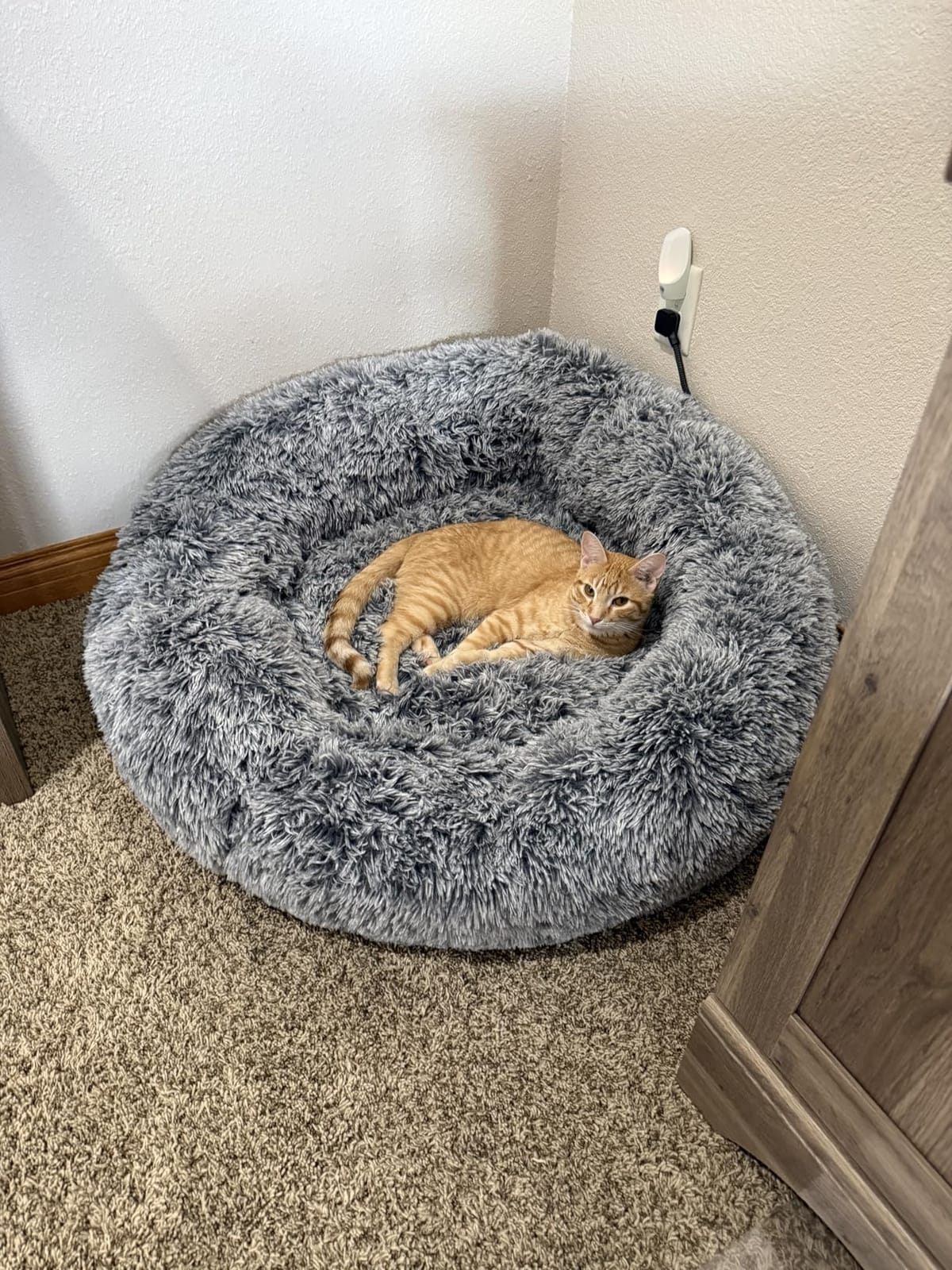 Bedfolks Calming Fluffy Donut Dog Bed for Medium Dogs,Dark Grey, 30