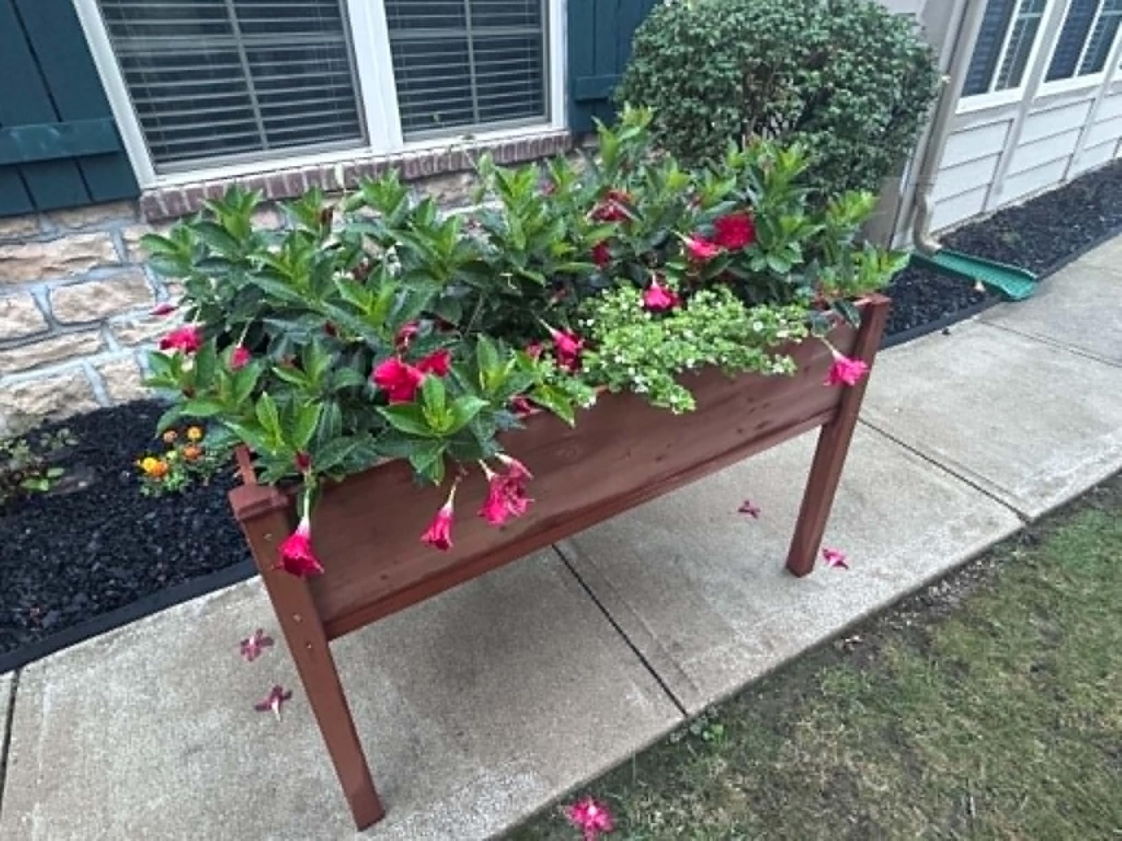 Raised Garden Bed with Legs, 48×24×30 Cedar Wood Elevated Planter Box customer photo 1