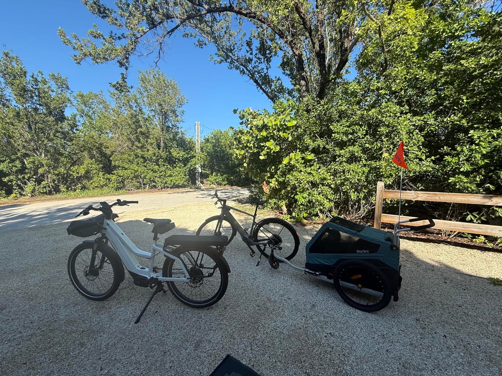 Burley Bark Ranger™ Pet Bike Trailer customer photo 1