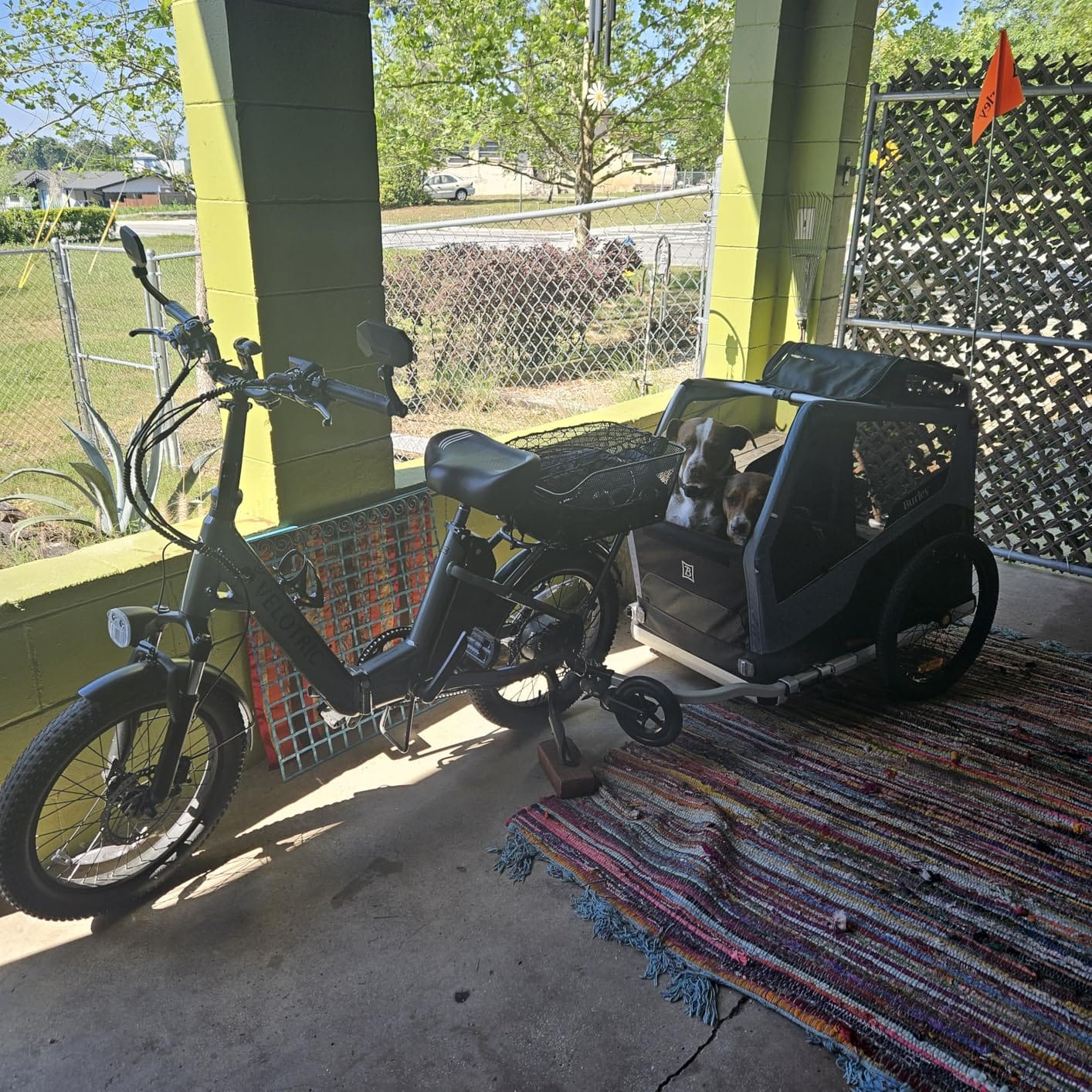Burley Bark Ranger™ Pet Bike Trailer customer photo 2